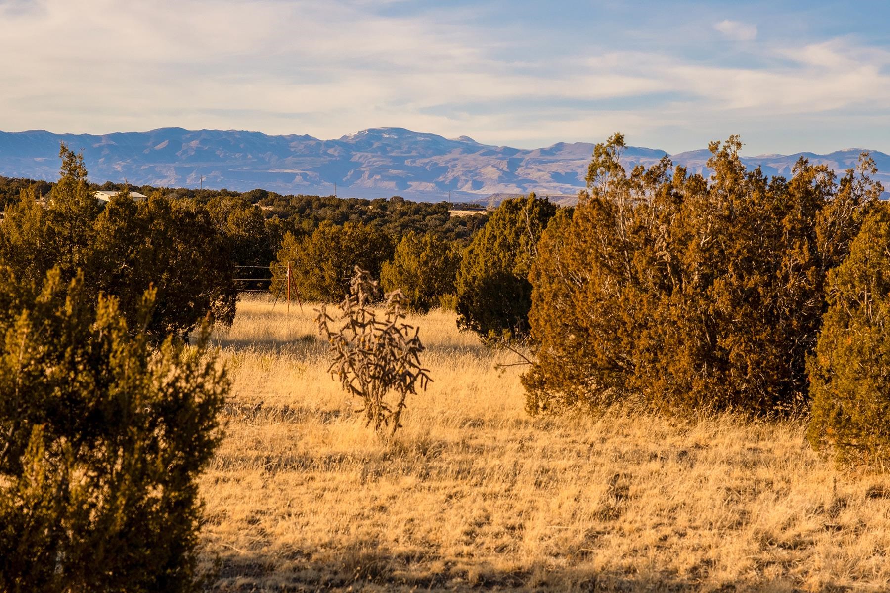 37 Rancho de Shama, Cerrillos, New Mexico 87010, ,Land,For Sale,37 Rancho de Shama,202200331