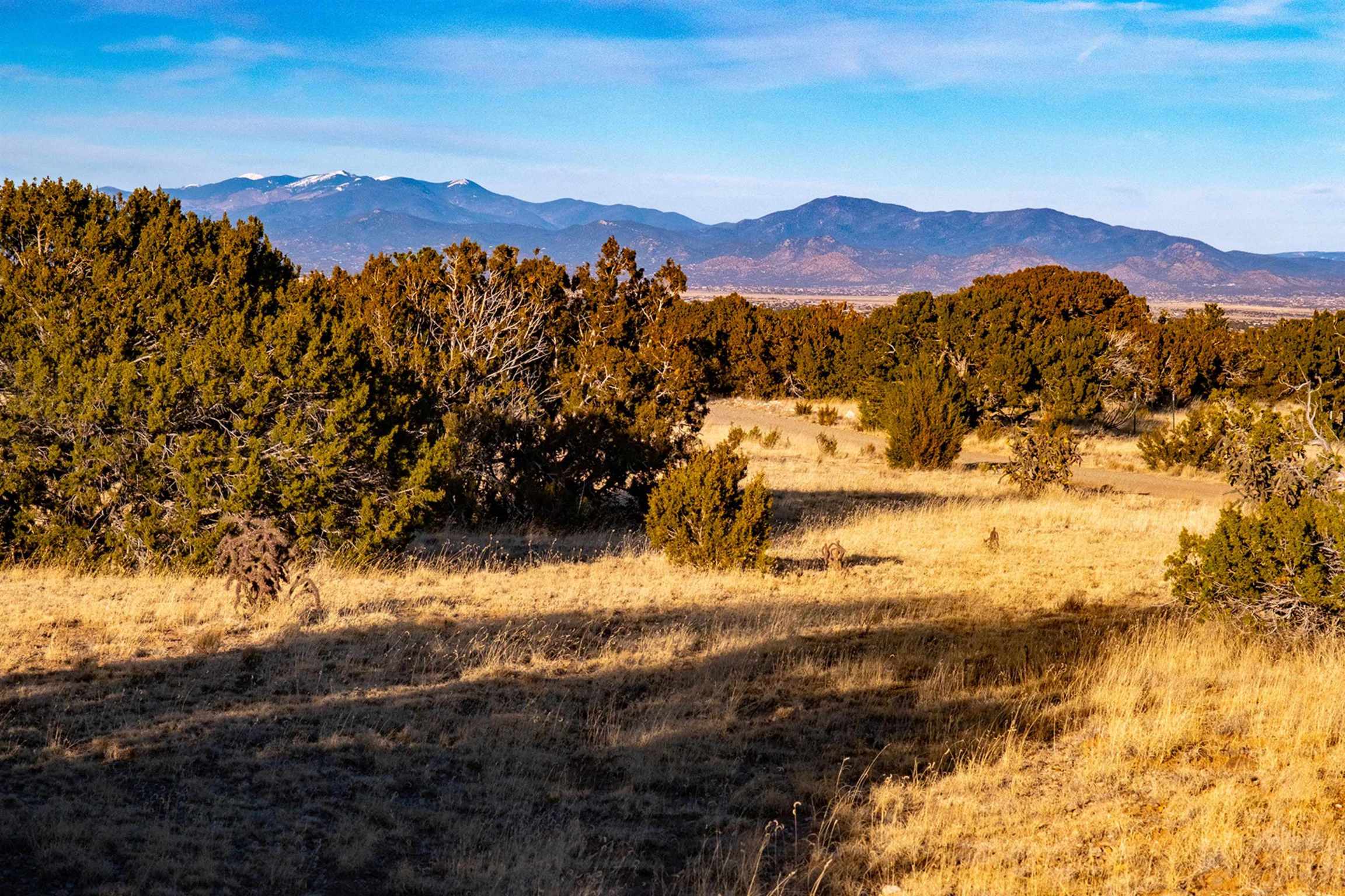 57 Rancho de Shama, Cerrillos, New Mexico 87010, ,Land,For Sale,57 Rancho de Shama,202200337