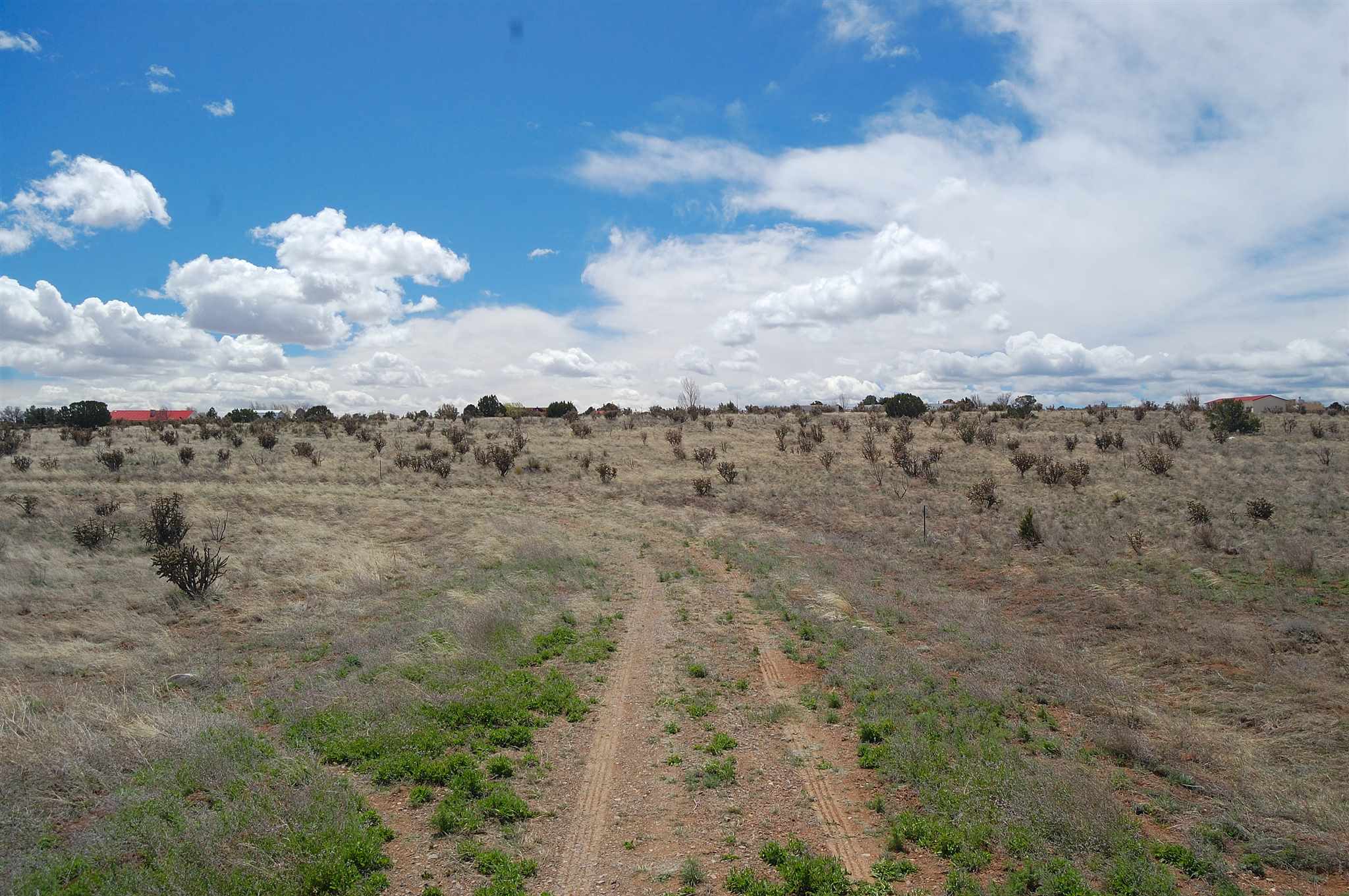 Lots 1-8 West Hill Ranch, Edgewood, New Mexico 87015, ,Land,For Sale,Lots 1-8 West Hill Ranch,201903083