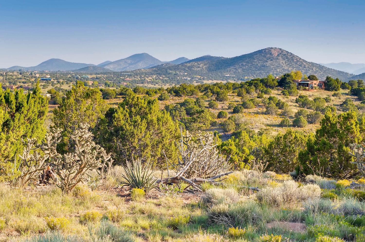 97 Camino Acote Lot 12, Santa Fe, New Mexico 87508, ,Land,For Sale,97 Camino Acote Lot 12,202002981