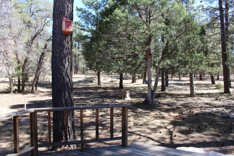 10 PD 1754, Chama, New Mexico 87520, 3 Bedrooms Bedrooms, ,2 BathroomsBathrooms,Residential,For Sale,10 PD 1754,202201351