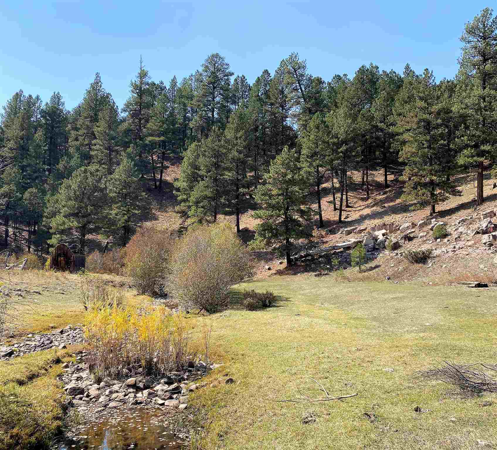 Tract D Crystal Springs Highway 126, Cuba, New Mexico 87013, ,Farm,For Sale,Tract D Crystal Springs Highway 126,202004411