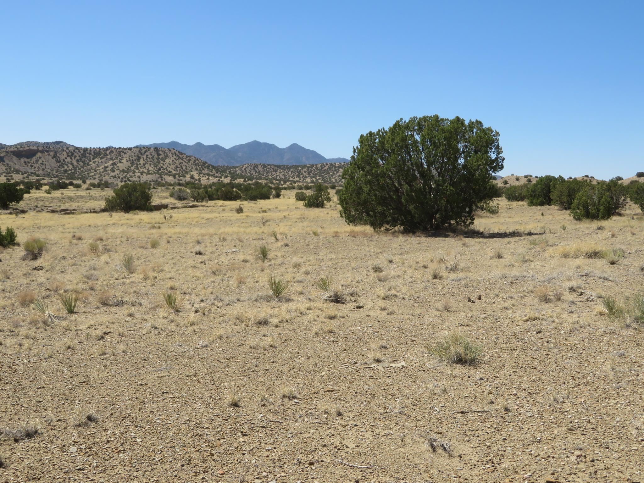 400 ROGERSVILLE, Cerrillos, New Mexico 87010, ,Land,For Sale,400 ROGERSVILLE,202201600