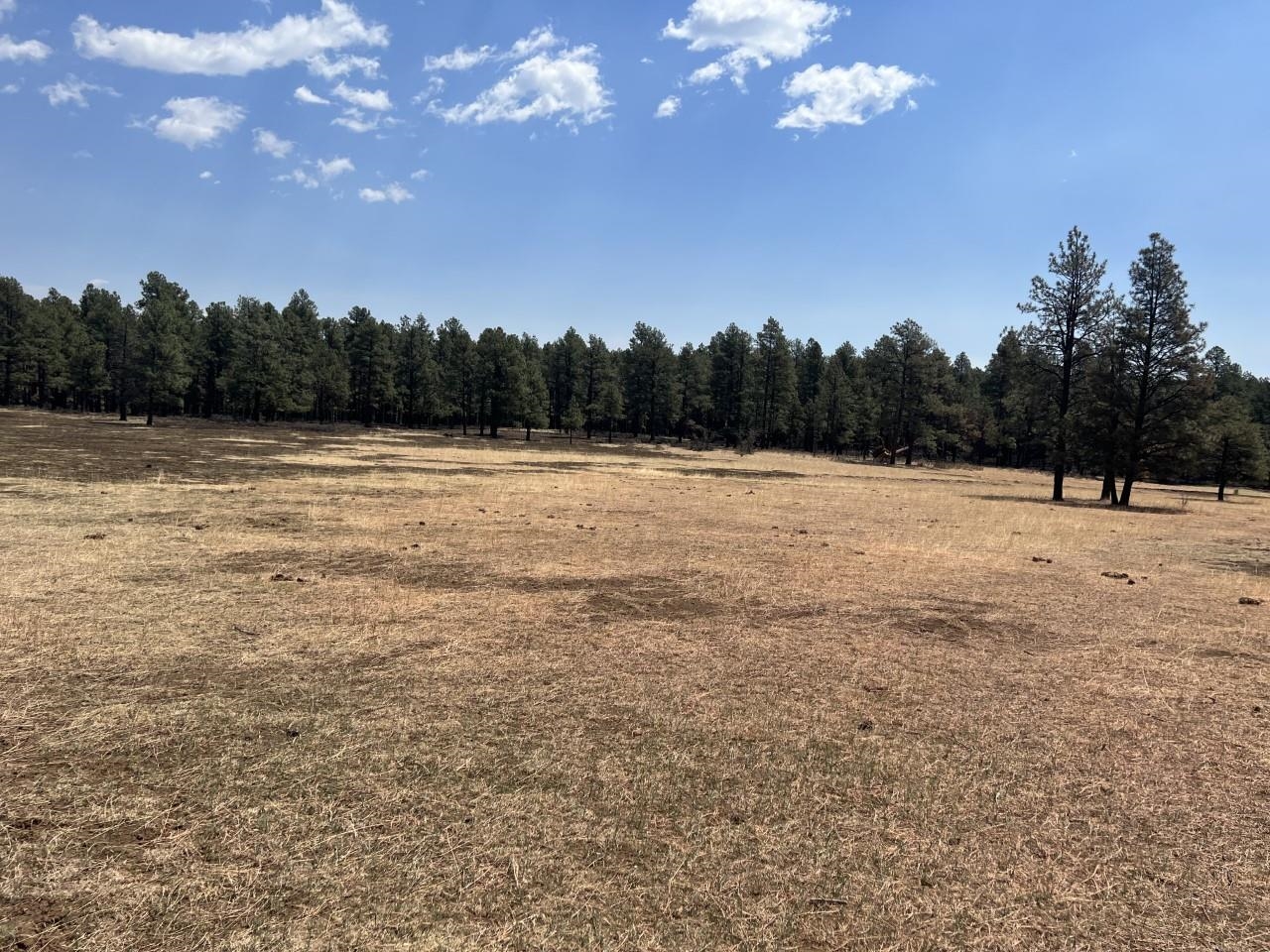 Brown Revocable Family Trust Mineral Hill, Mineral Hill, New Mexico 87701, ,Land,For Sale,Brown Revocable Family Trust Mineral Hill,202202072