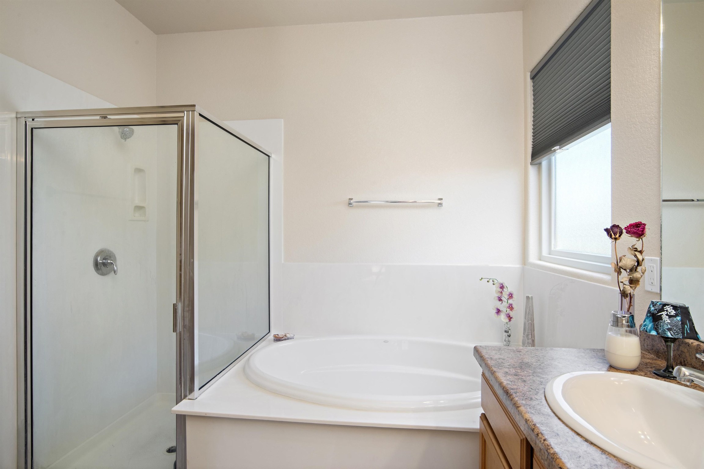 4472 Contenta Ridge, Santa Fe, New Mexico 87507, 3 Bedrooms Bedrooms, ,2 BathroomsBathrooms,Residential,For Sale,4472 Contenta Ridge,202202073