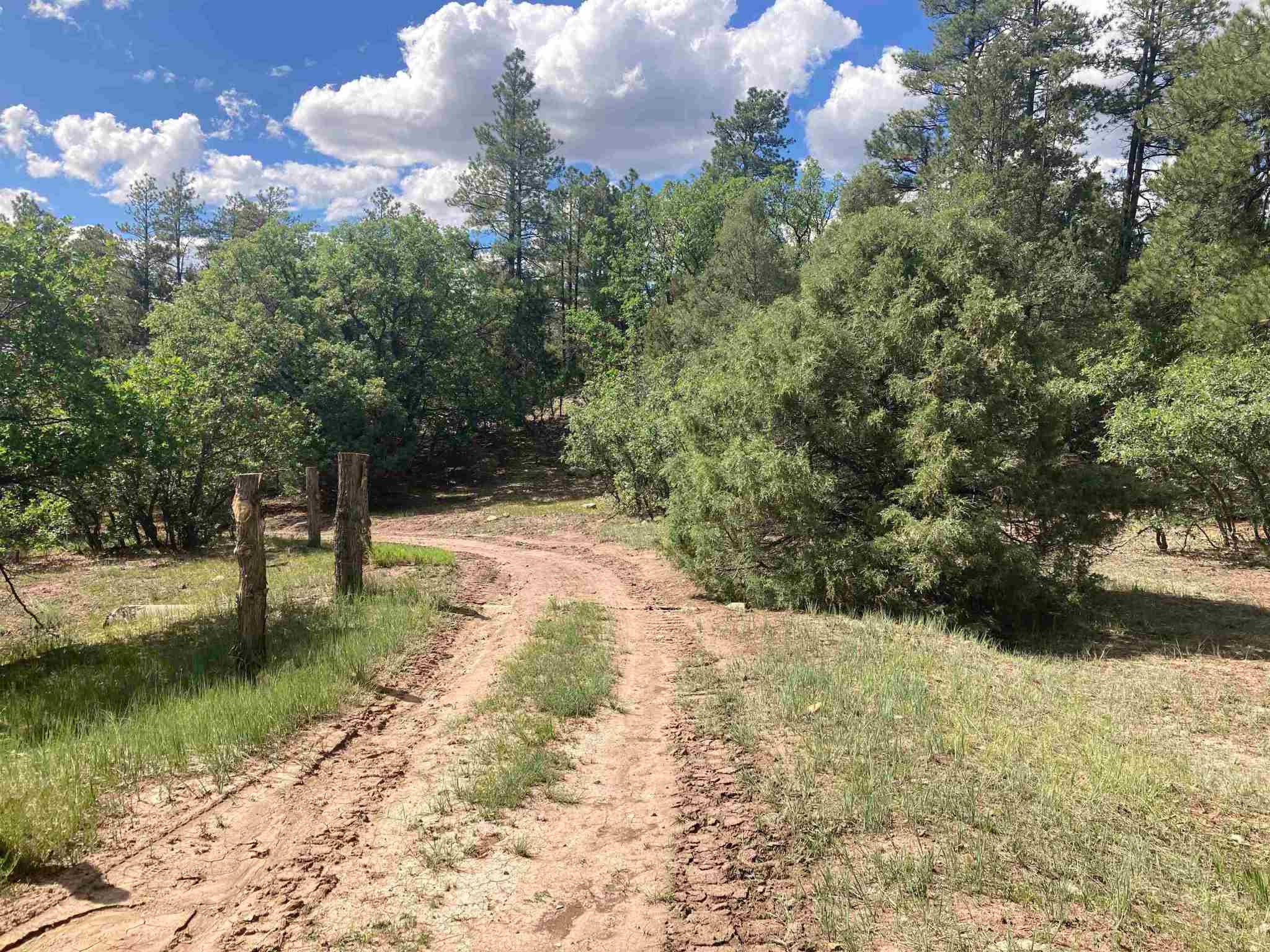 TBD Unit 7 Tract 104, Chama, New Mexico 87520, ,Land,For Sale,TBD Unit 7 Tract 104,202202423
