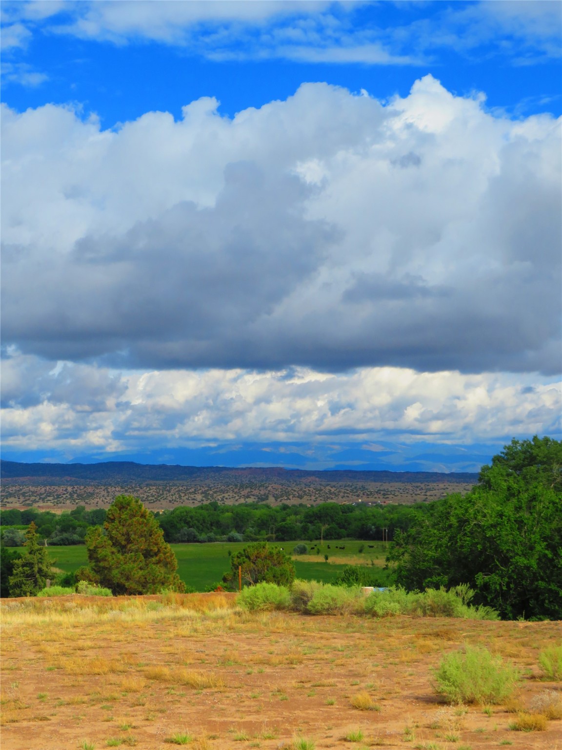 1.63 acres Co Rd 57, El Quique, New Mexico 87566, ,Land,For Sale,1.63 acres Co Rd 57,202220014