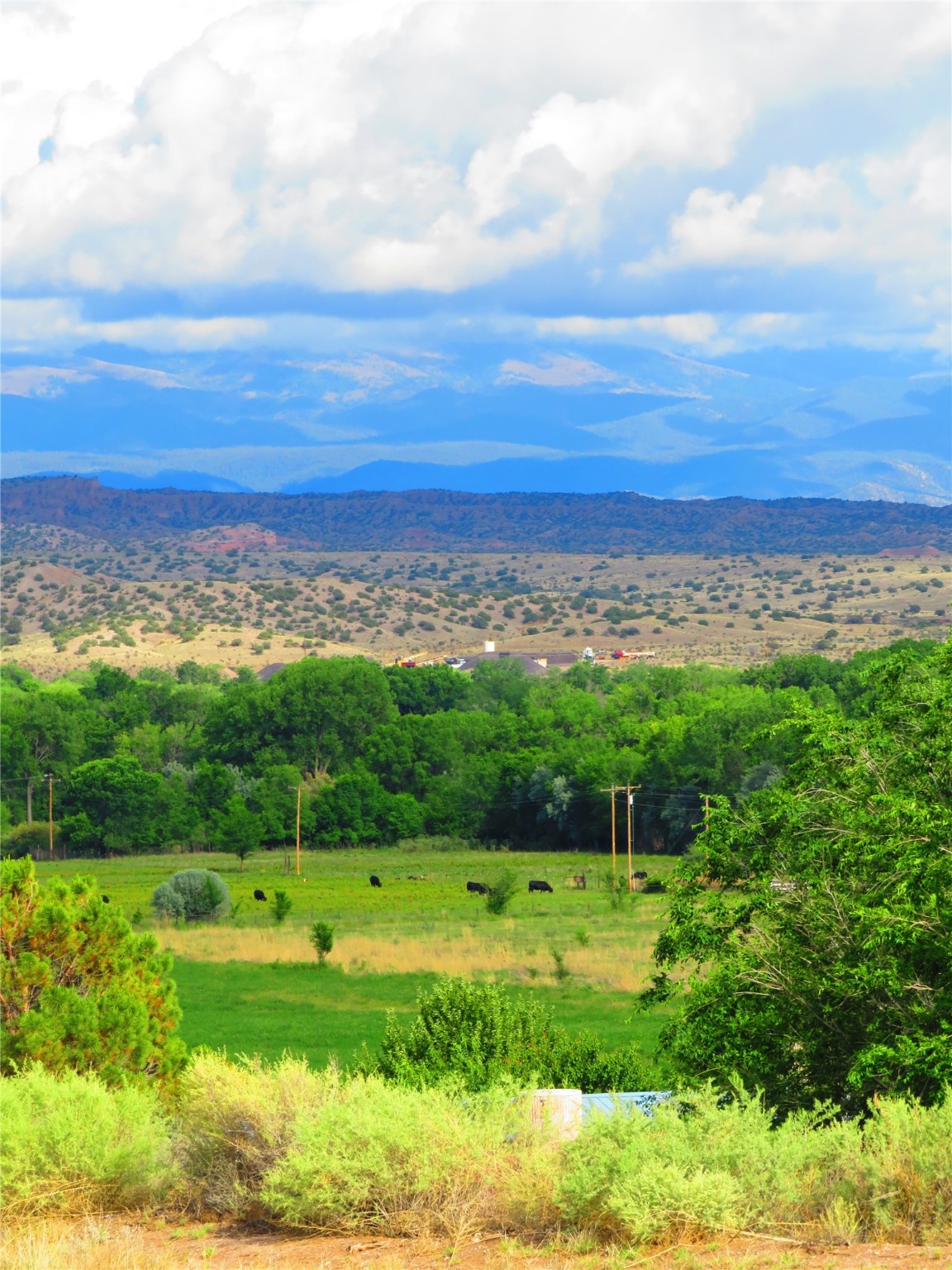 1.63 acres Co Rd 57, El Quique, New Mexico 87566, ,Land,For Sale,1.63 acres Co Rd 57,202220014