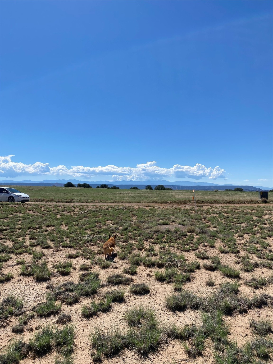 Lot 2 Eagle Drive, Medanales, New Mexico 87548, ,Land,For Sale,Lot 2 Eagle Drive,202232014