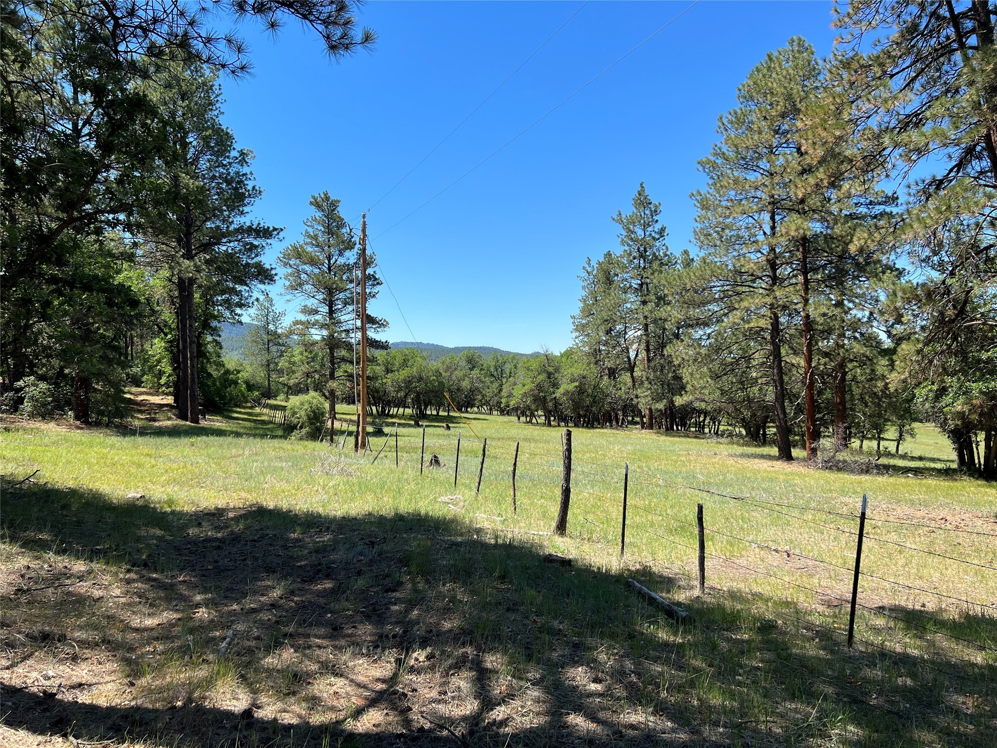 TBD Oak Meadow Drive, Chama, New Mexico 87520, ,Land,For Sale,TBD Oak Meadow Drive,202232067