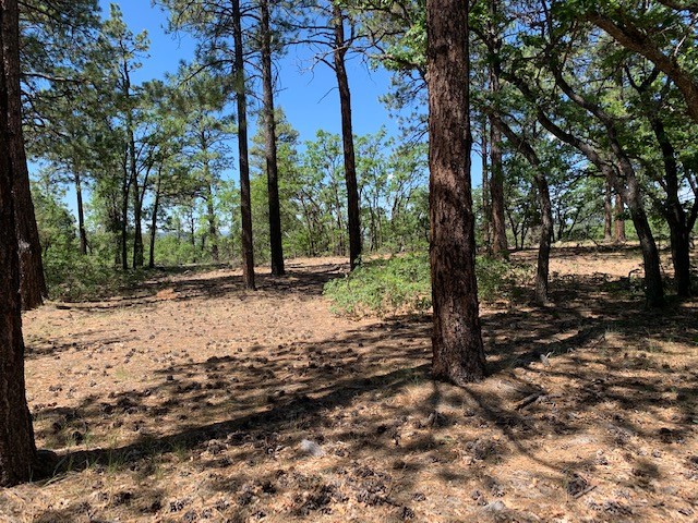 3 Lake View, Chama, New Mexico 87520, ,Land,For Sale,3 Lake View,202232184