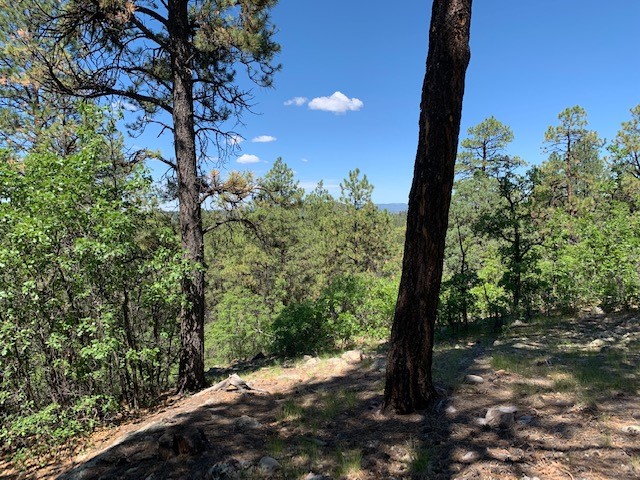 3 Lake View, Chama, New Mexico 87520, ,Land,For Sale,3 Lake View,202232184