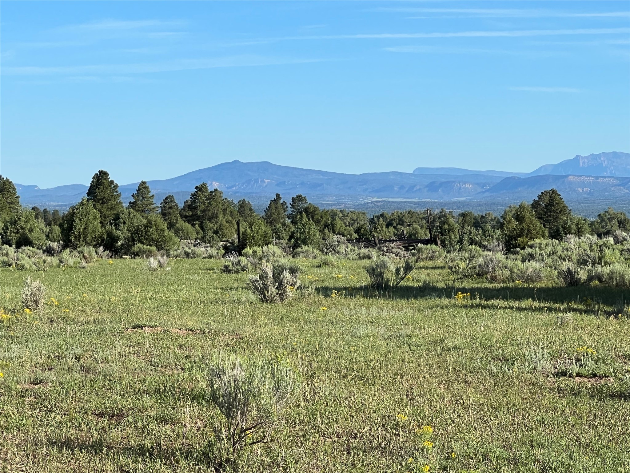 TBD Highway 64, Tierra Amarilla, New Mexico 87575, ,Farm,For Sale,TBD Highway 64,202232223