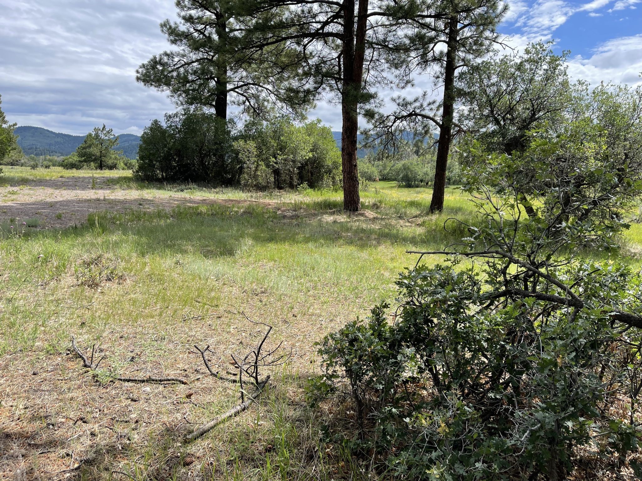 2 Sunflower Drive, Chama, New Mexico 87520, ,Land,For Sale,2 Sunflower Drive,202232322