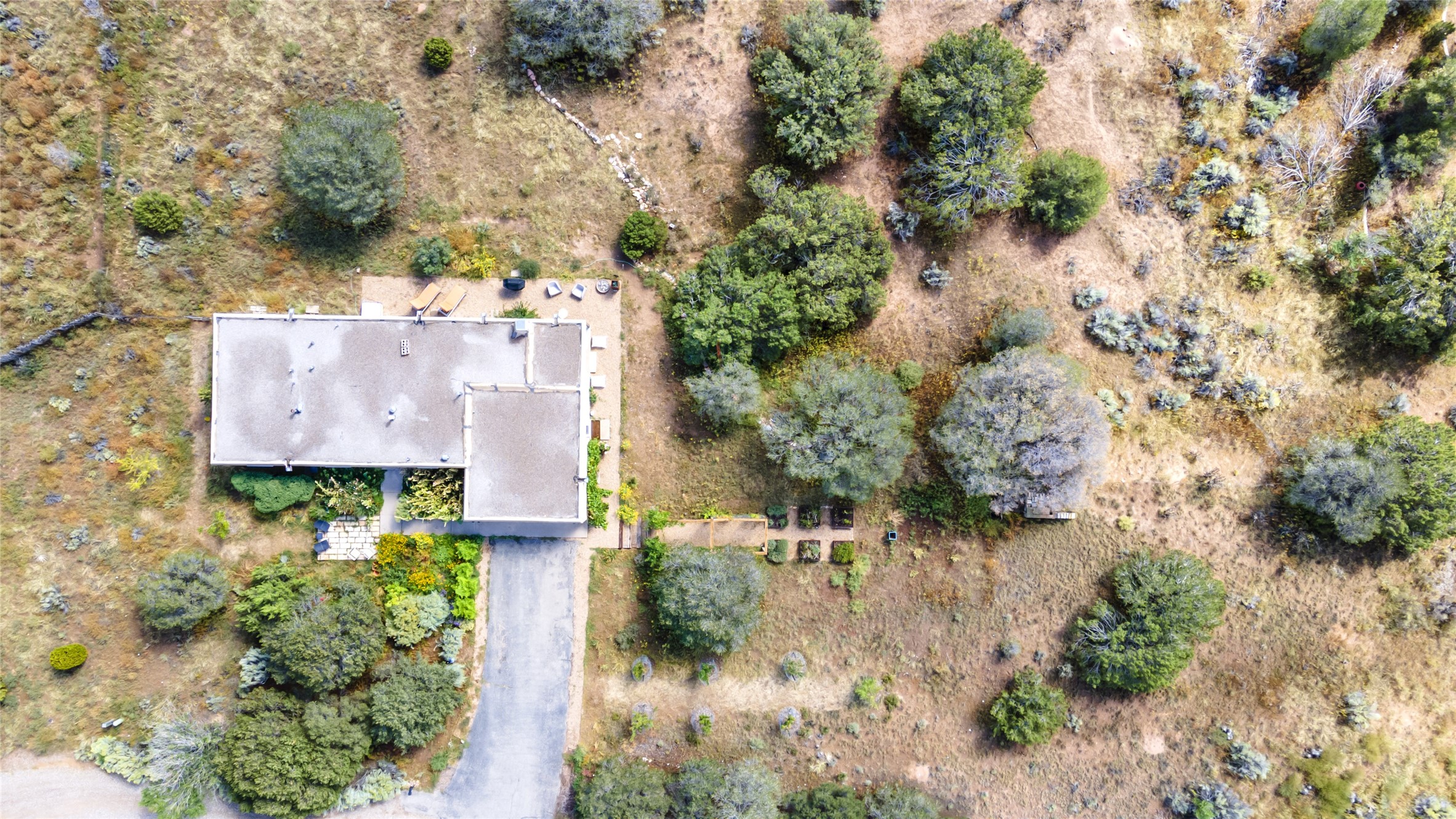 Aerial view of the patios, arbor, raised beds and the orchard.