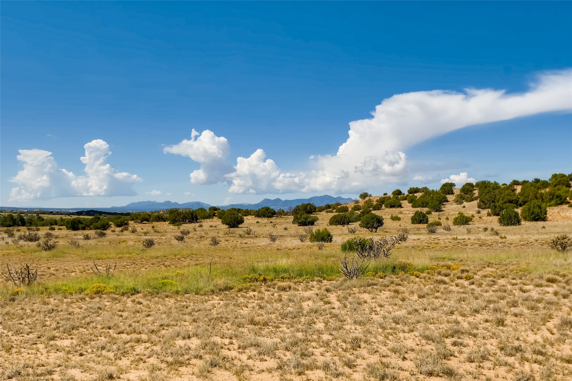 200 Thornton Ranch, Lamy, New Mexico 87540, ,Land,For Sale,200 Thornton Ranch,202233151