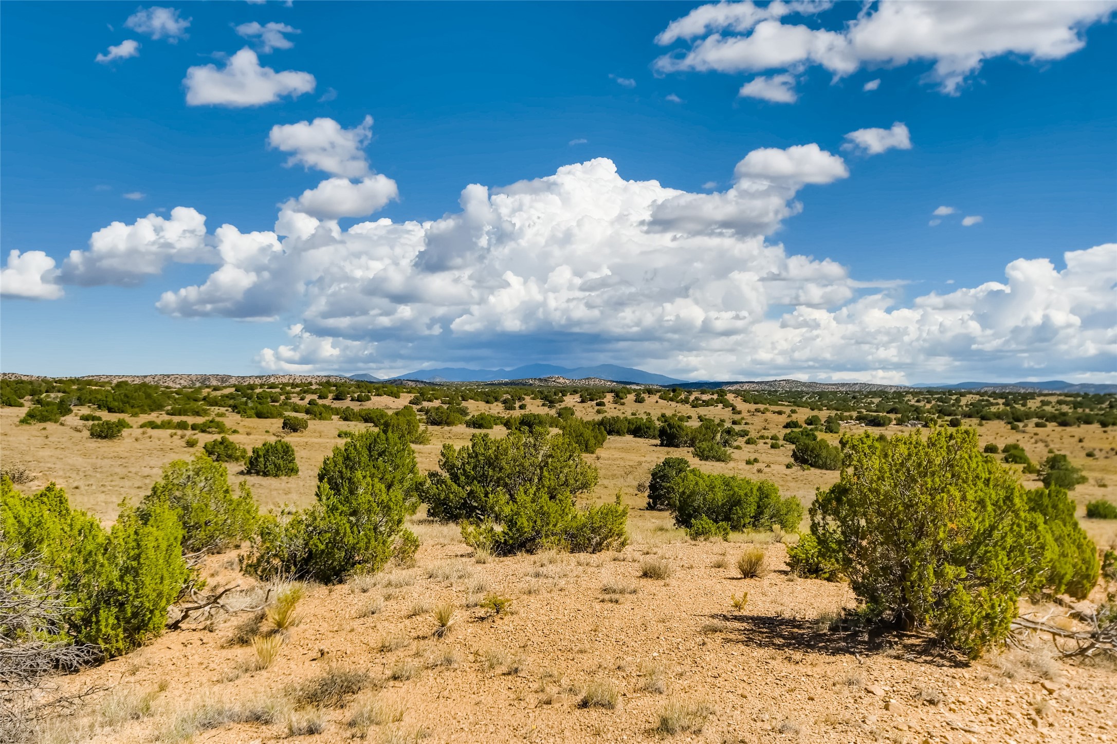 200 Thornton Ranch, Lamy, New Mexico 87540, ,Land,For Sale,200 Thornton Ranch,202233151