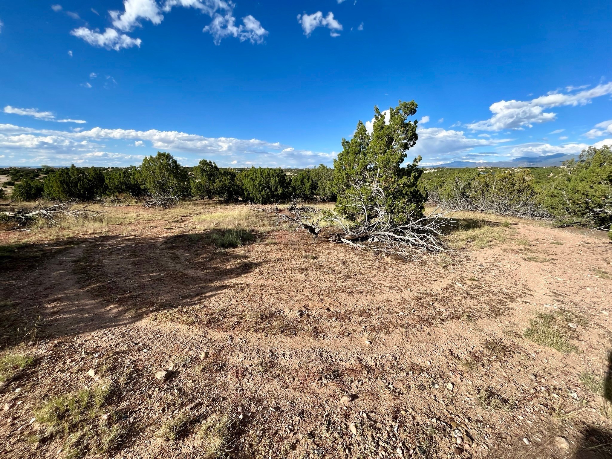 106 Arroyo Calabasas, Santa Fe, New Mexico 87506, ,Land,For Sale,106 Arroyo Calabasas,202233137