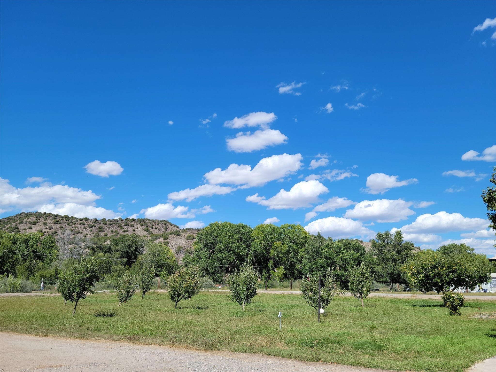 828 County Road 57, Velarde, New Mexico 87582, 4 Bedrooms Bedrooms, ,3 BathroomsBathrooms,Residential,For Sale,828 County Road 57,202233150