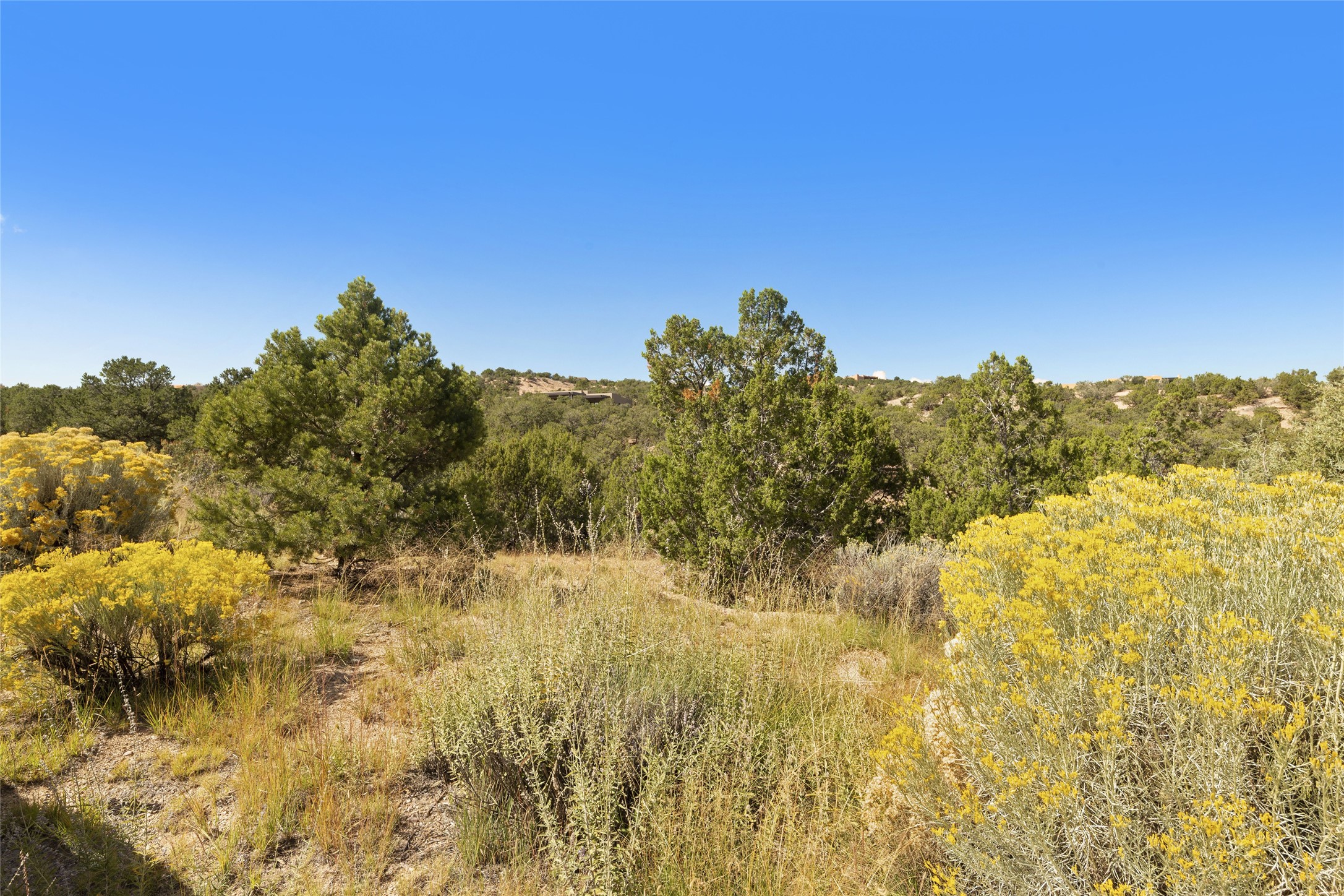 2901 Aspen View, Lot 185, Santa Fe, New Mexico 87506, ,Land,For Sale,2901 Aspen View, Lot 185,202233361