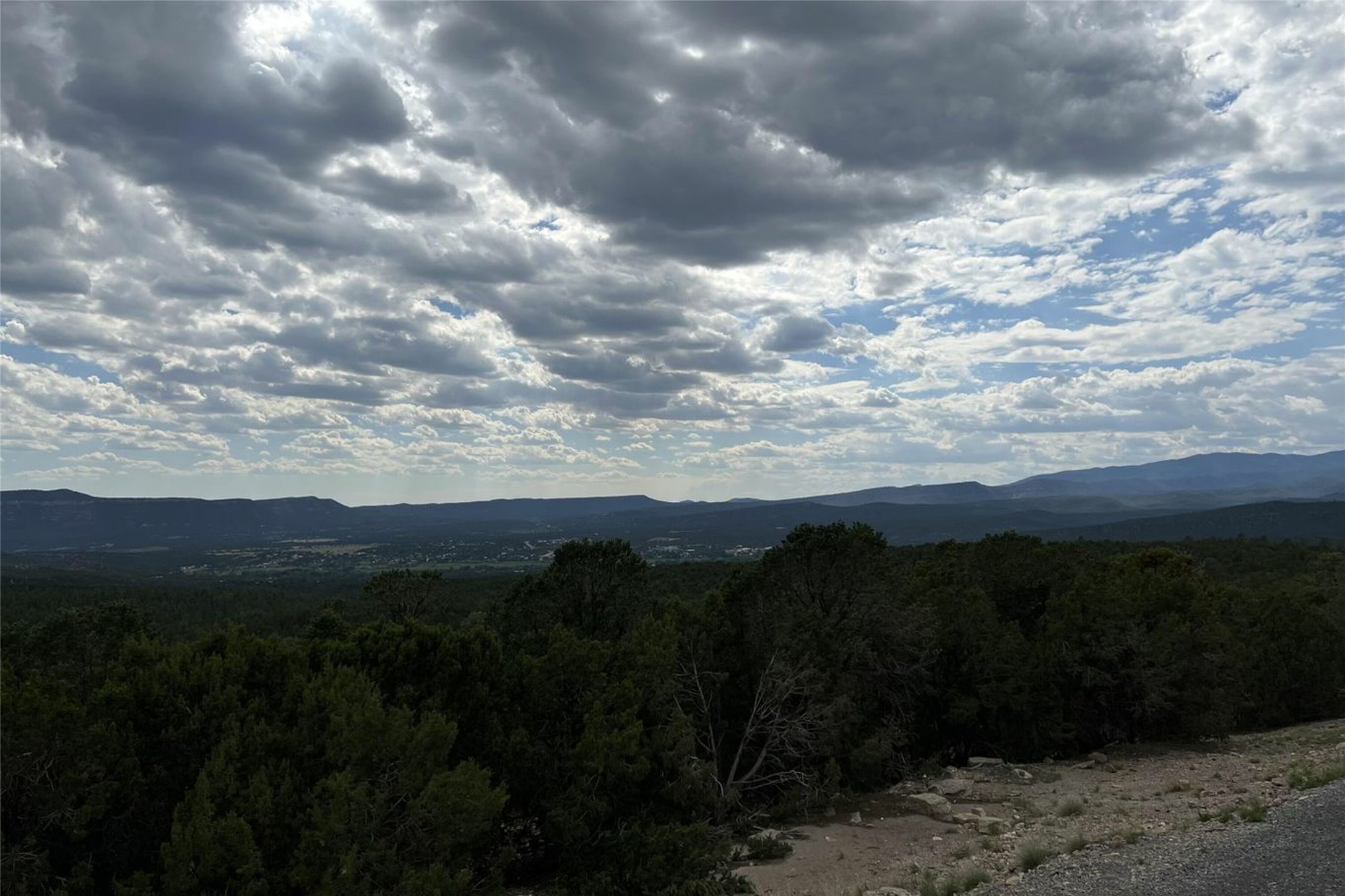 0 Forest Road 615, Pecos, New Mexico 87552, ,Land,For Sale,0 Forest Road 615,202233666