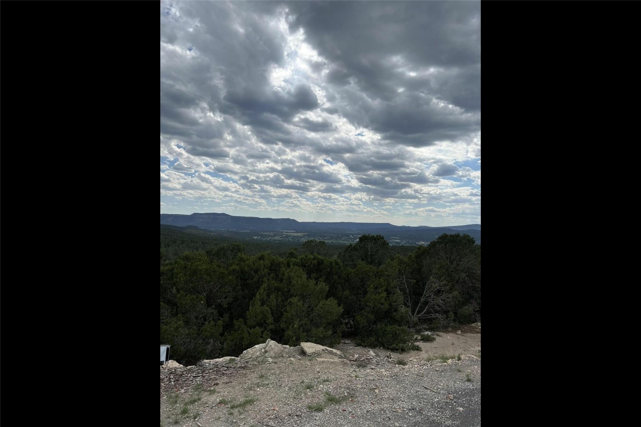 0 Forest Road 615, Pecos, New Mexico 87552, ,Land,For Sale,0 Forest Road 615,202233666