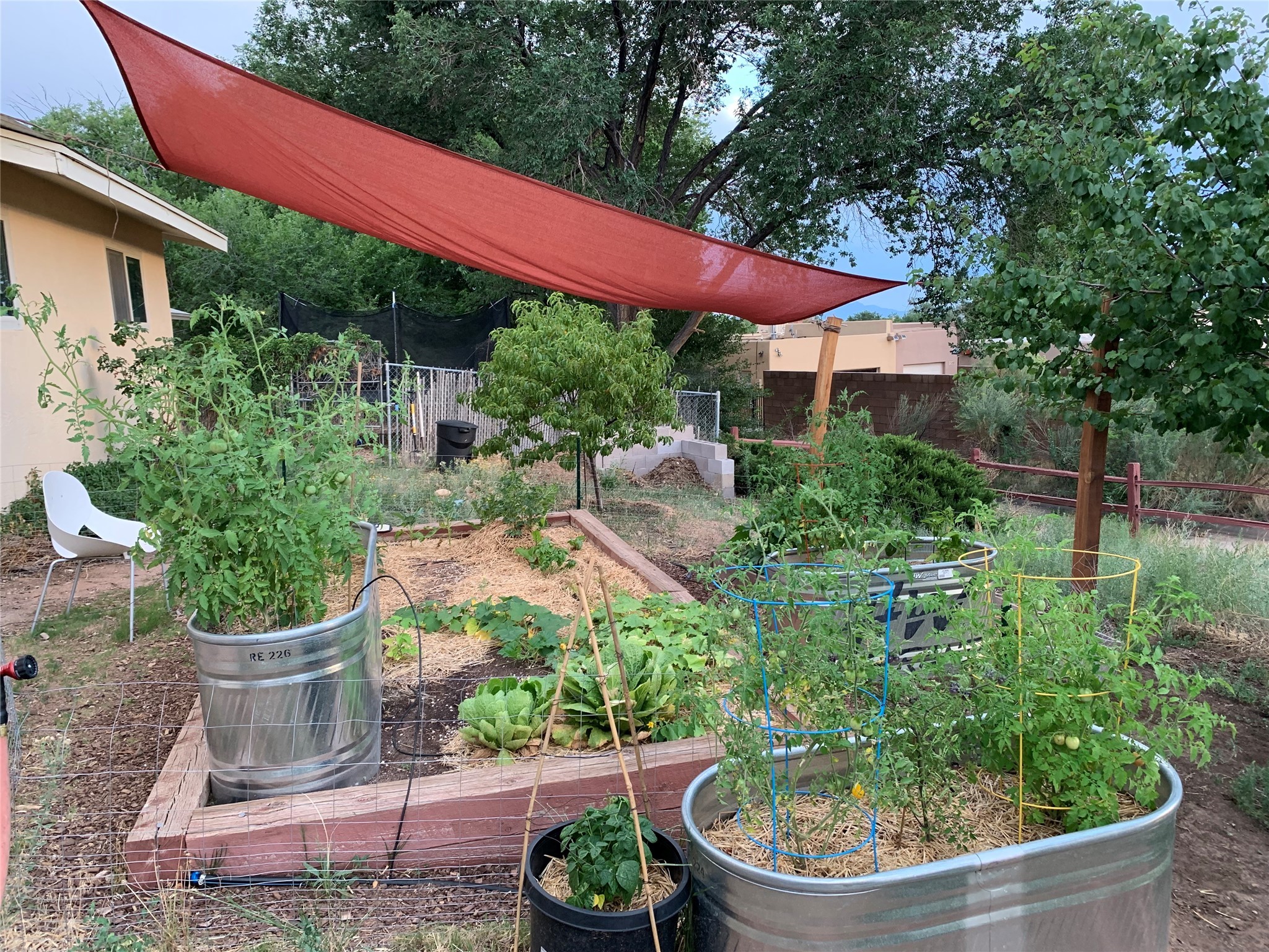 Garden with Tons of Vegetables