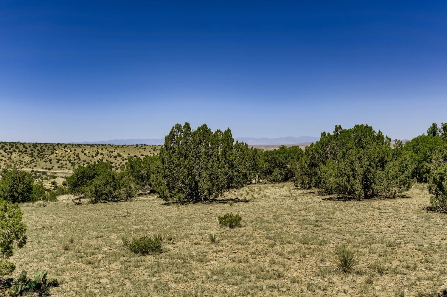 56 Ocean View Drive, Cerrillos, New Mexico 87010, ,Land,For Sale,56 Ocean View Drive,202234510