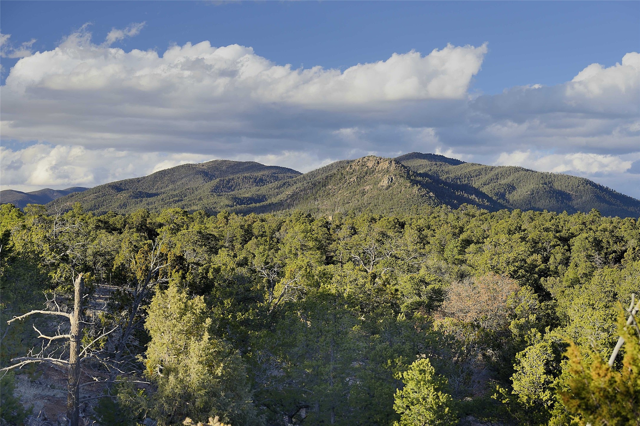 0 Apache Ridge Rd Lot 4, Santa Fe, New Mexico 87505, ,Land,For Sale,0 Apache Ridge Rd Lot 4,202334790