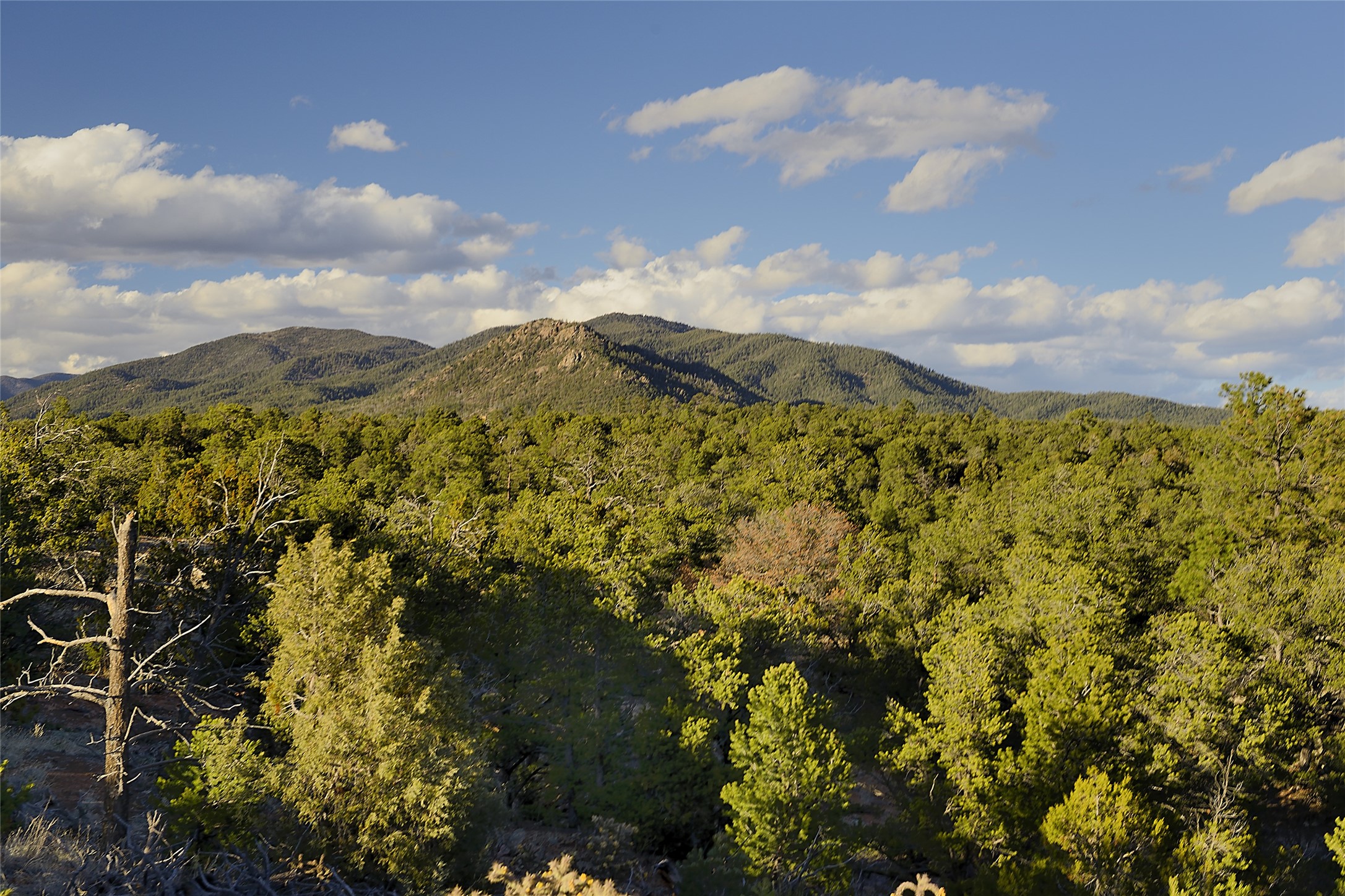 0 Apache Ridge Rd Lot 4, Santa Fe, New Mexico 87505, ,Land,For Sale,0 Apache Ridge Rd Lot 4,202334790