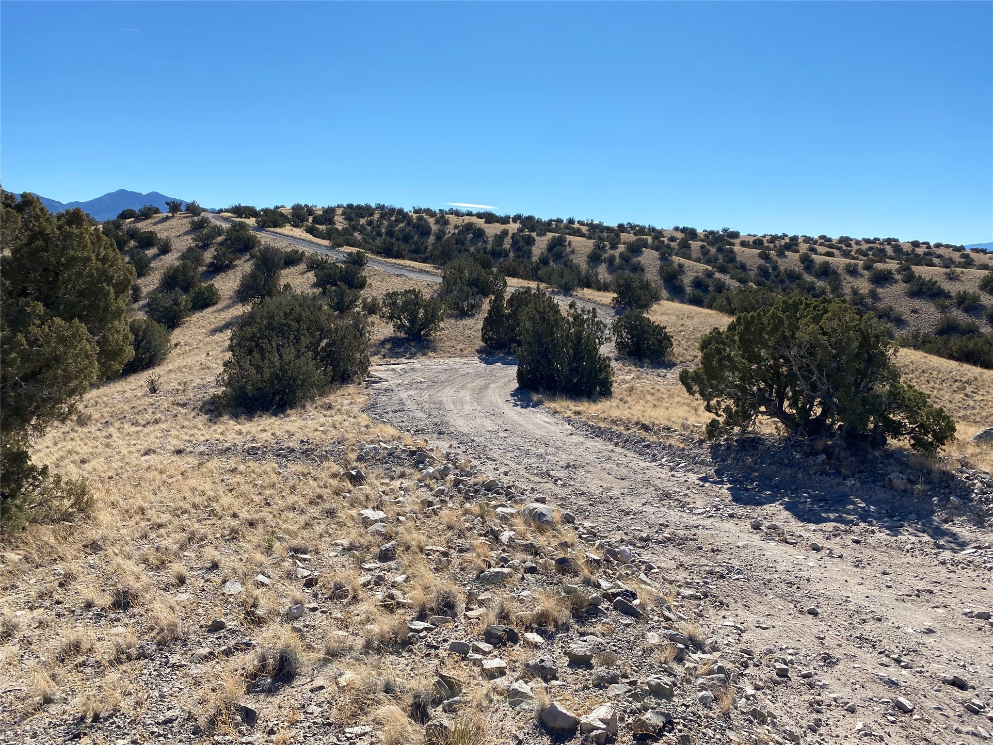 258 Red Rock, Cerrillos, New Mexico 87010, ,Land,For Sale,258 Red Rock,202334932