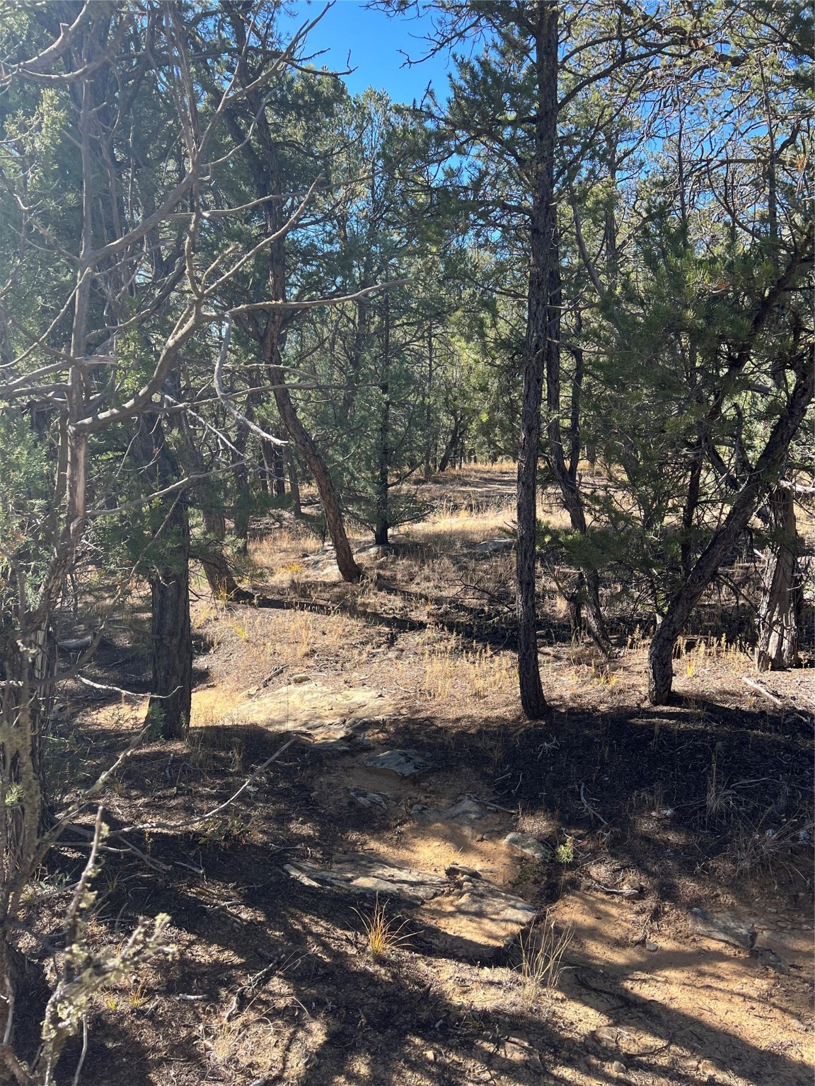 0 CR B 49, Pecos, New Mexico 87552, ,Land,For Sale,0 CR B 49,202335134