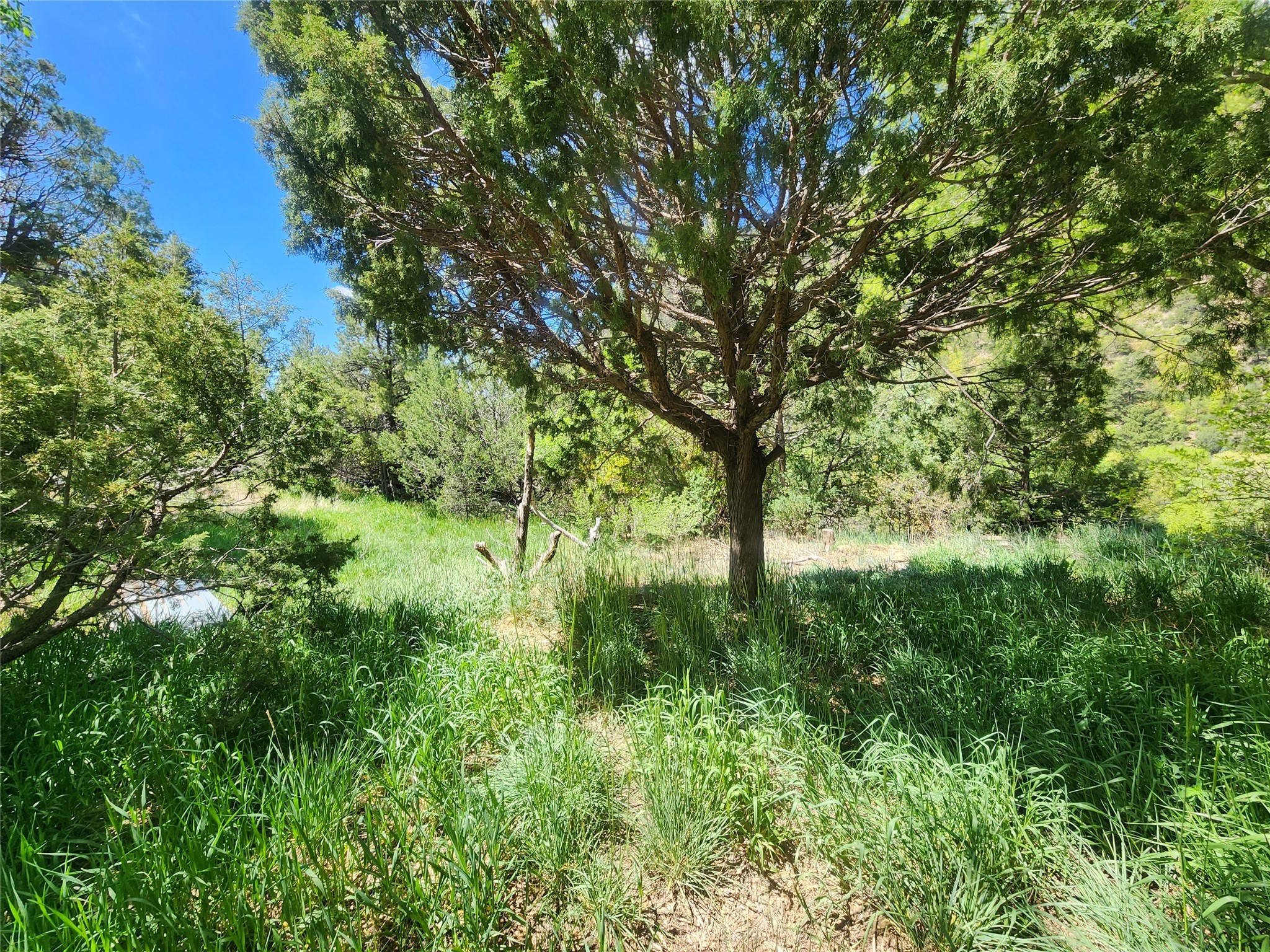 0 Valle Oscuro, Pecos, New Mexico 87552, ,Land,For Sale,Valle Oscuro,202338247