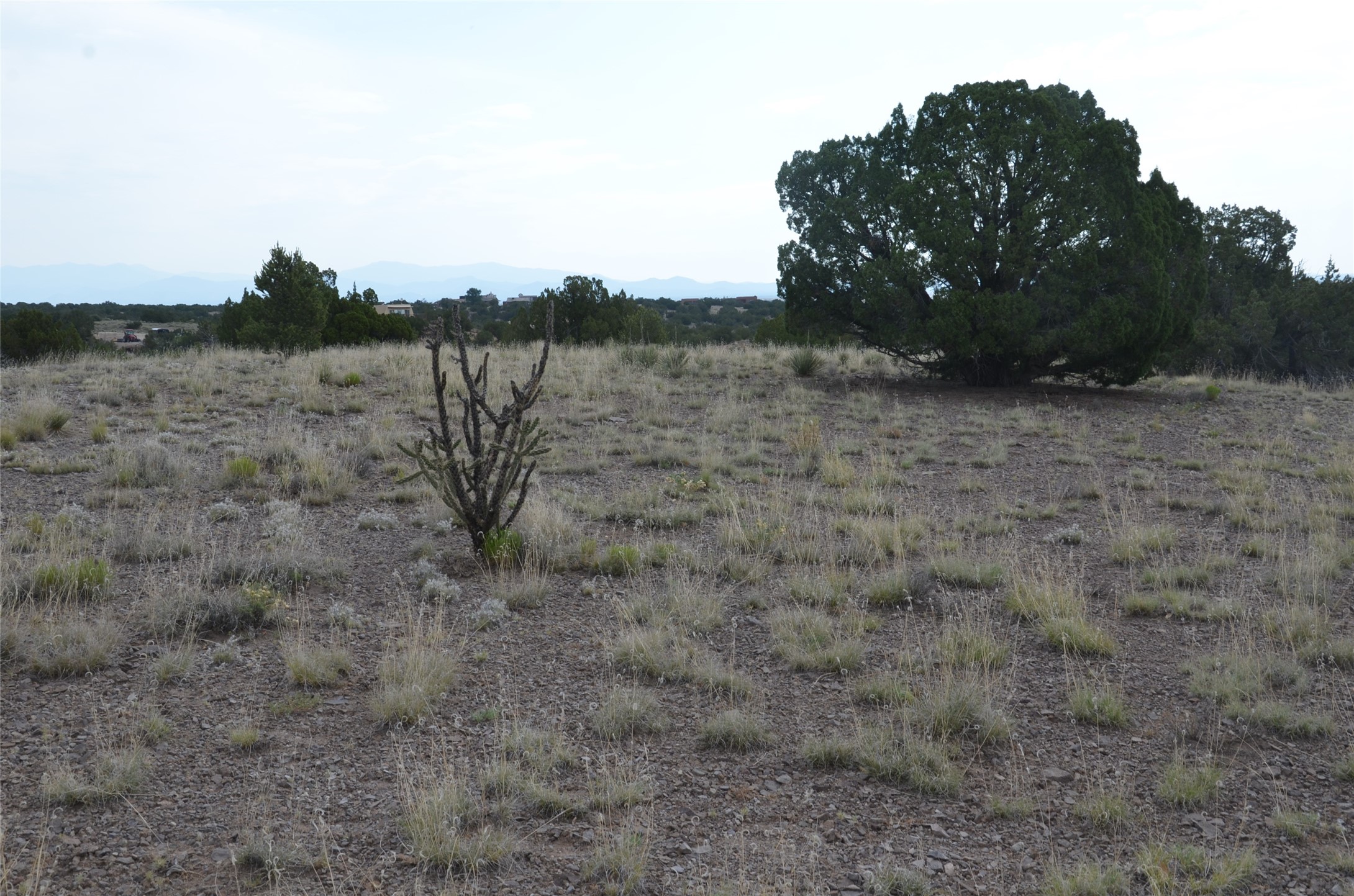 10 El Cerro, Santa Fe, New Mexico 87508, ,Land,For Sale,10 El Cerro,202338417