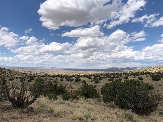 460 Camino Cerro Chato, Cerrillos, New Mexico 87010, ,Land,For Sale,460 Camino Cerro Chato,202338629