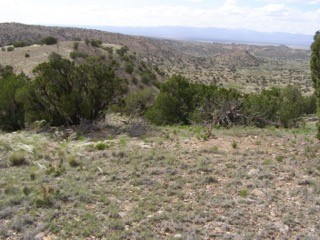 Cerrillos, New Mexico 87010, ,Land,For Sale,202338691
