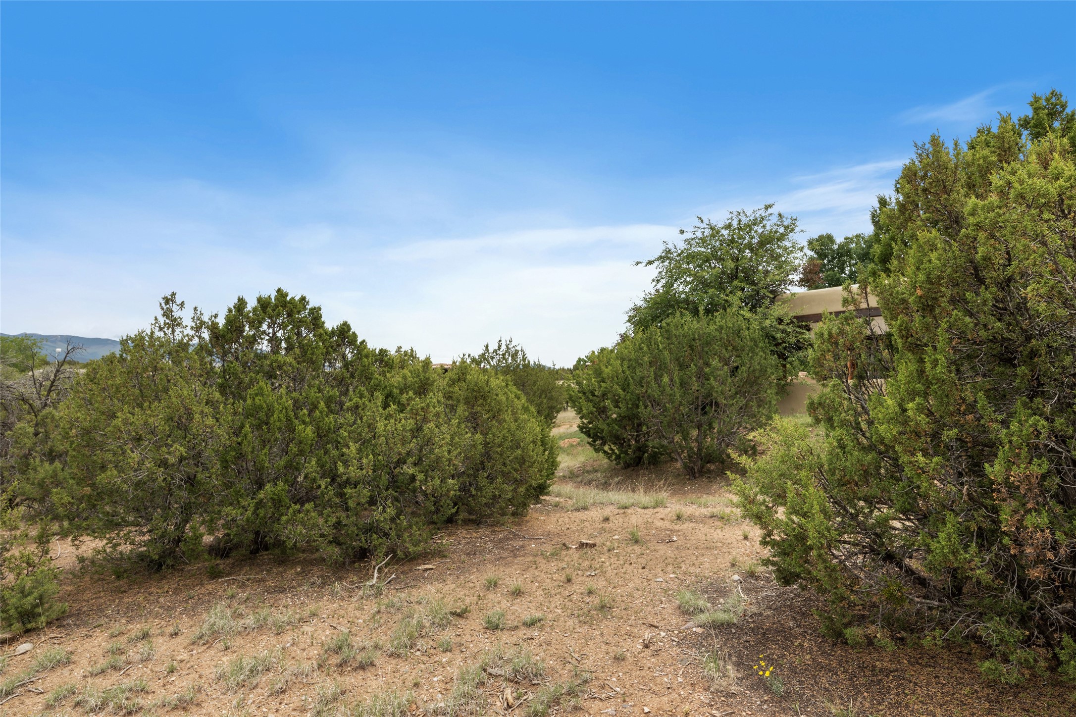 12 Plano Arbolito, Santa Fe, New Mexico 87506, ,Land,For Sale,12 Plano Arbolito,202338702
