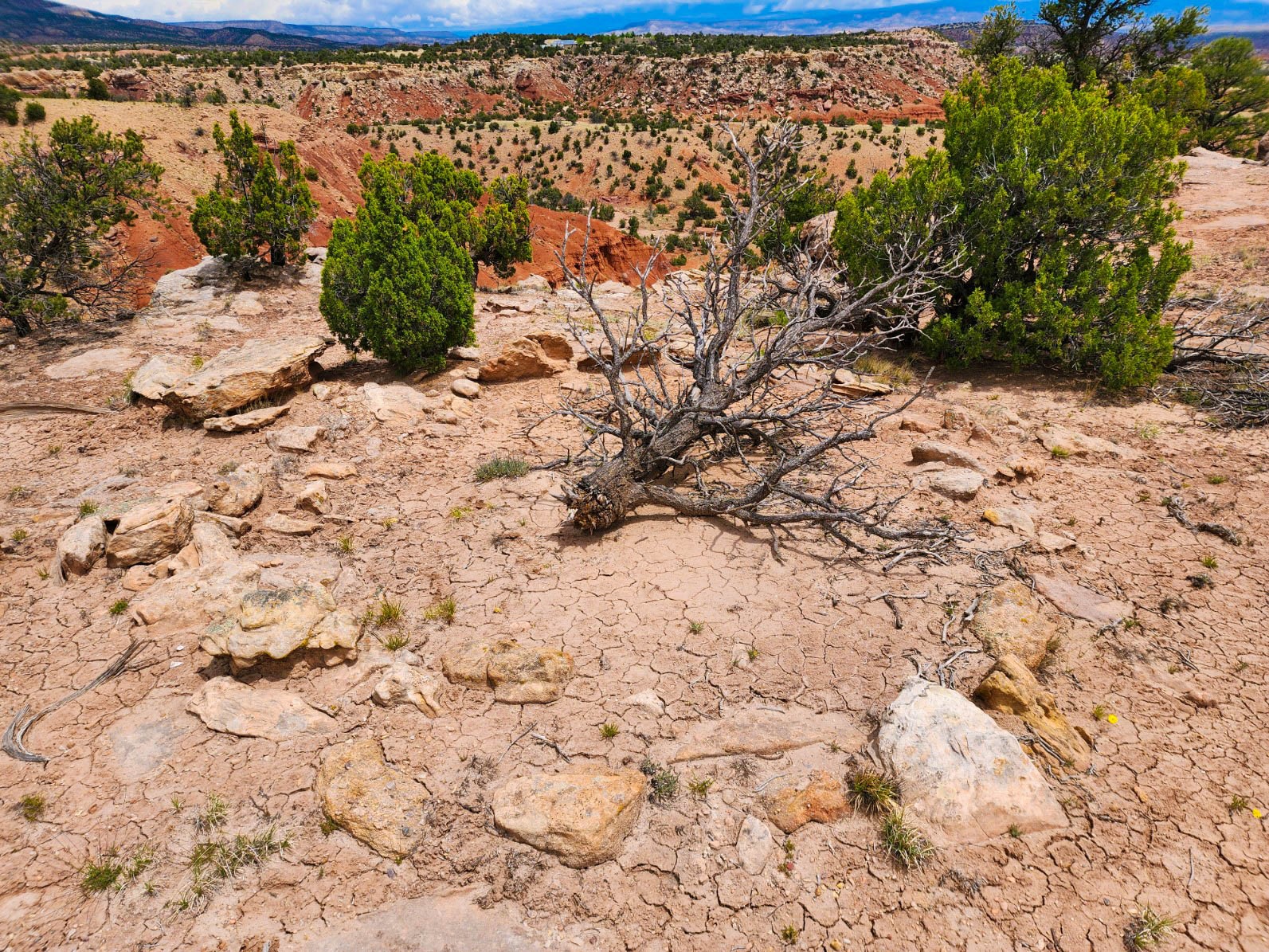 Kiva on top of Cuesta Navajo