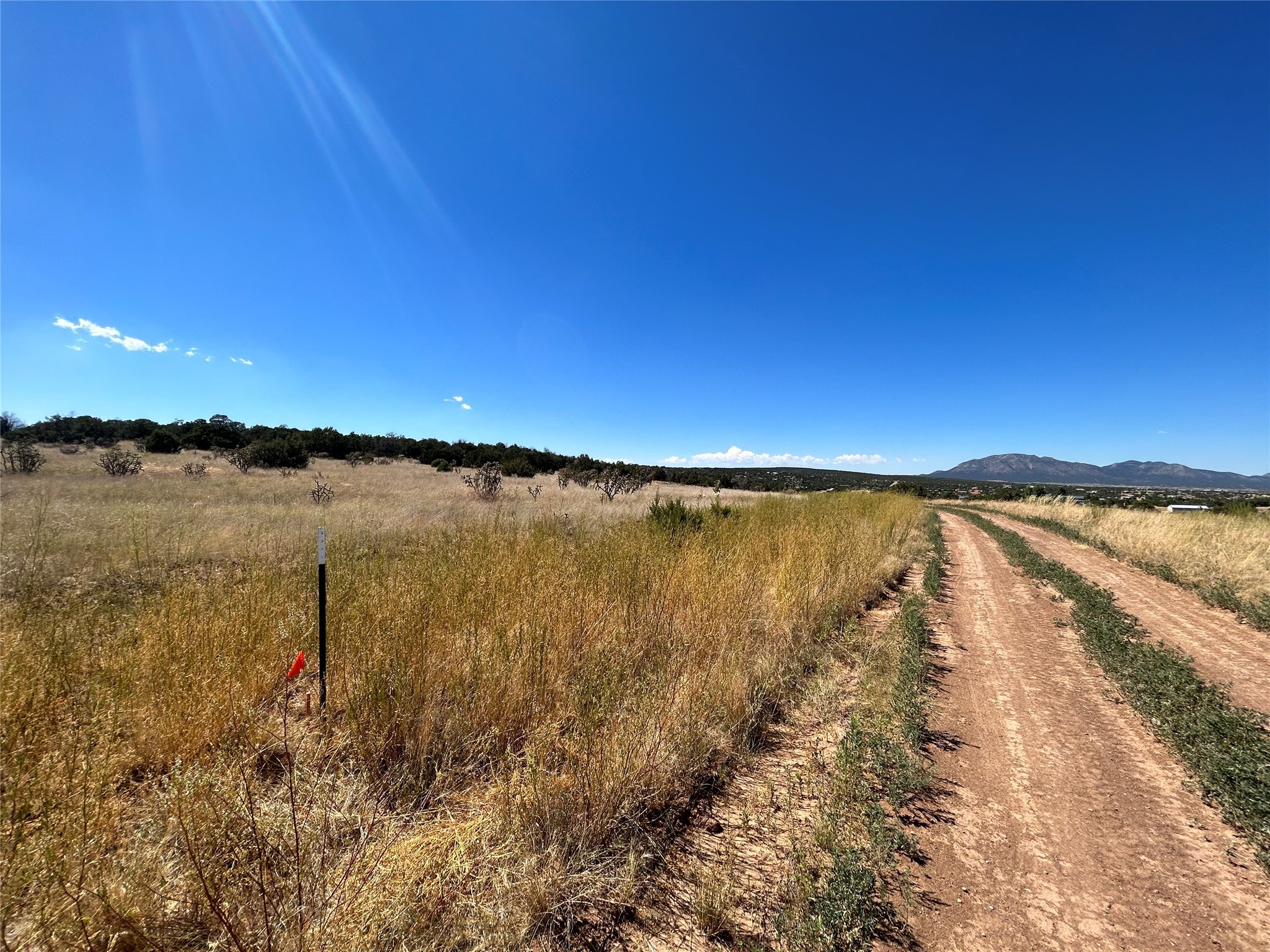 108 Dinkle, Edgewood, New Mexico 87015, ,Land,For Sale,108 Dinkle,202339037