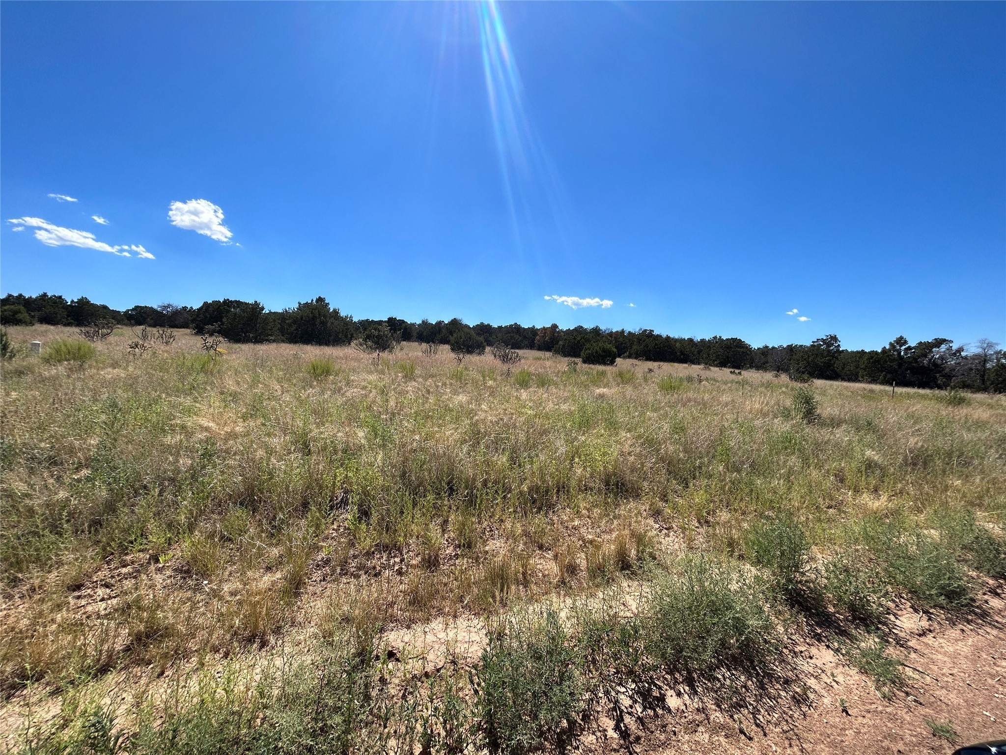 108 Dinkle, Edgewood, New Mexico 87015, ,Land,For Sale,108 Dinkle,202339037