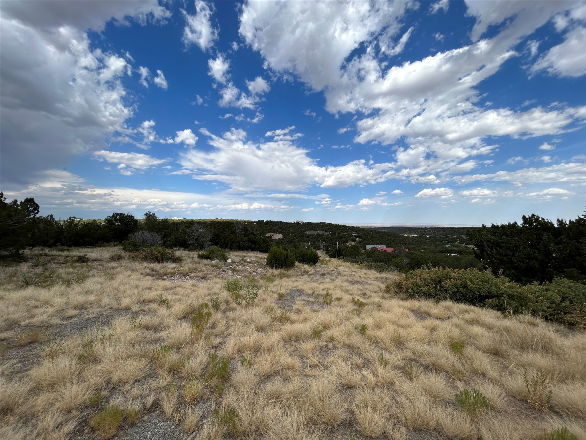 0 Steeplechase Drive, Edgewood, New Mexico 87015, ,Land,For Sale,0 Steeplechase Drive,202340217