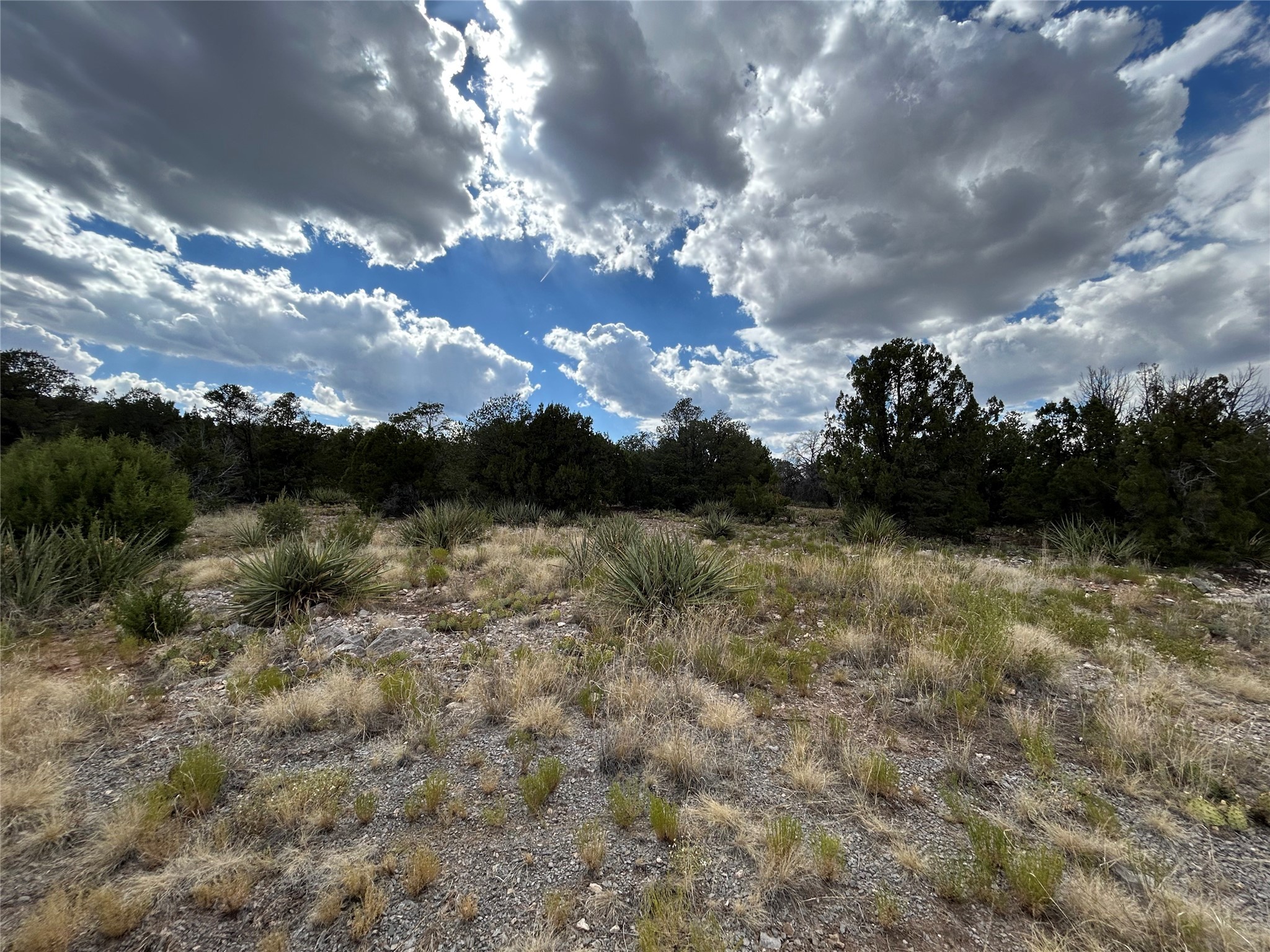 0 Steeplechase Drive, Edgewood, New Mexico 87015, ,Land,For Sale,0 Steeplechase Drive,202340217
