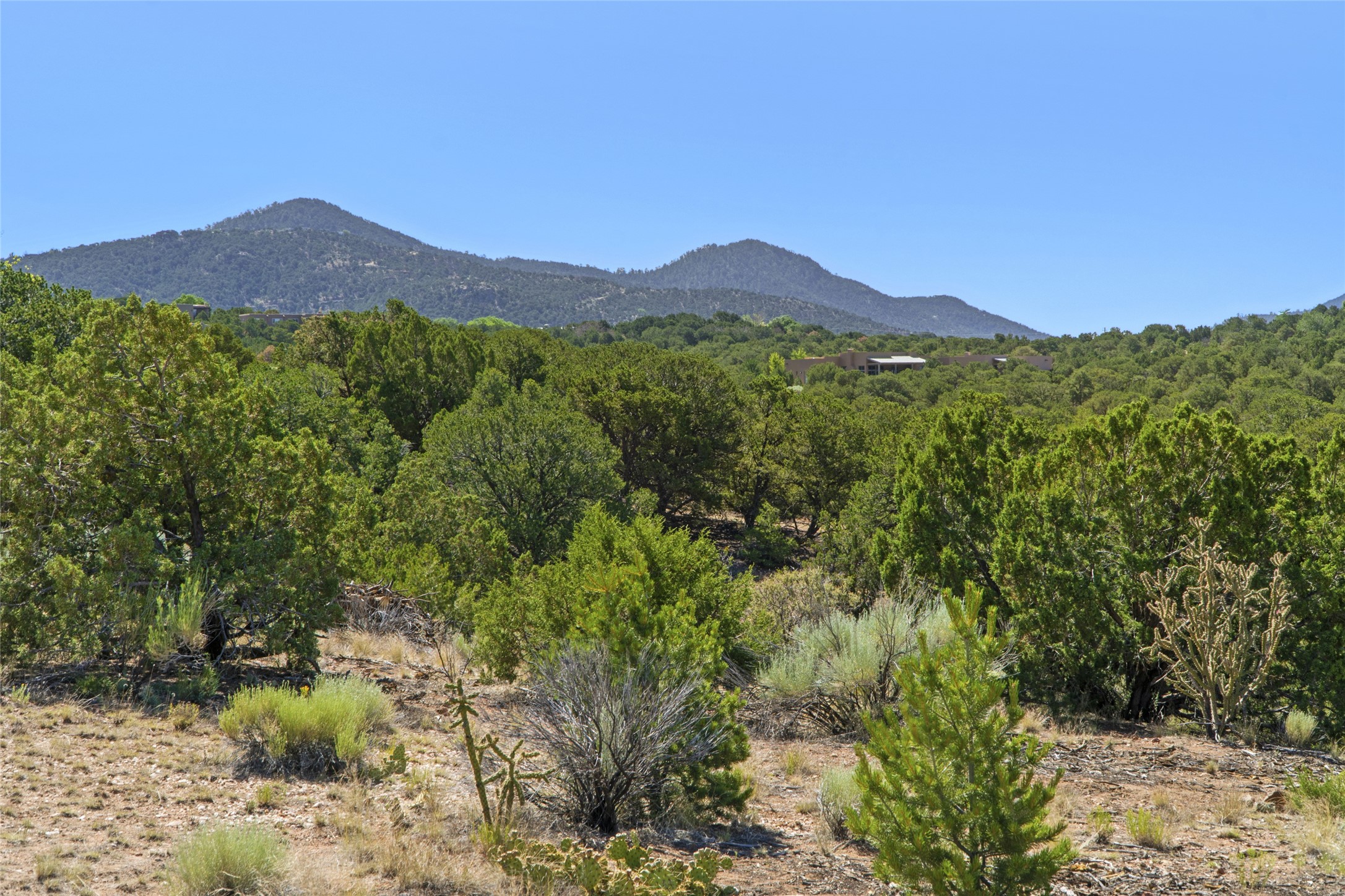 7254 Old Santa Fe Trail, Santa Fe, New Mexico 87505, ,Land,For Sale,7254 Old Santa Fe Trail,202339008