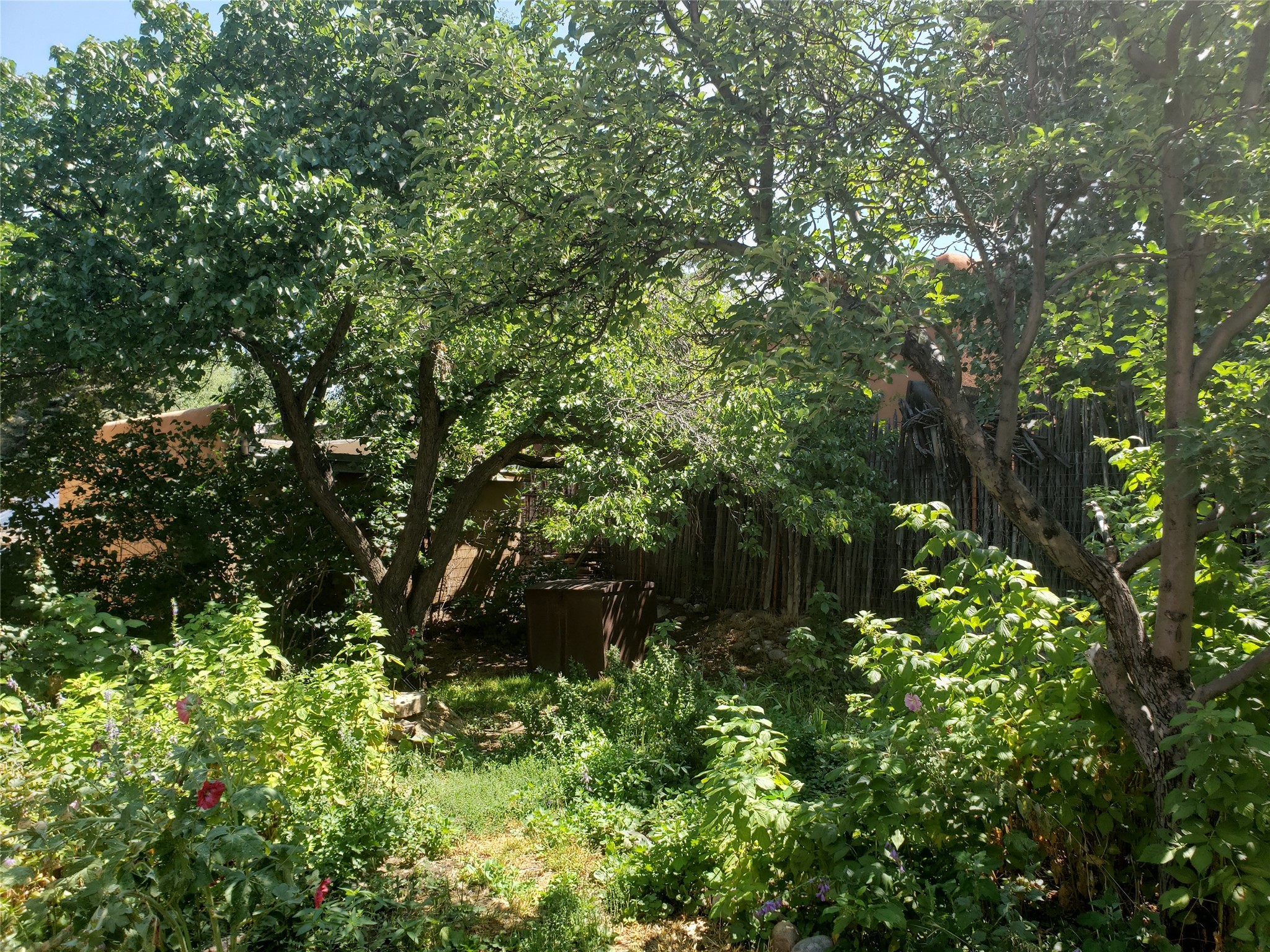 Lush secret garden on East side of the residence