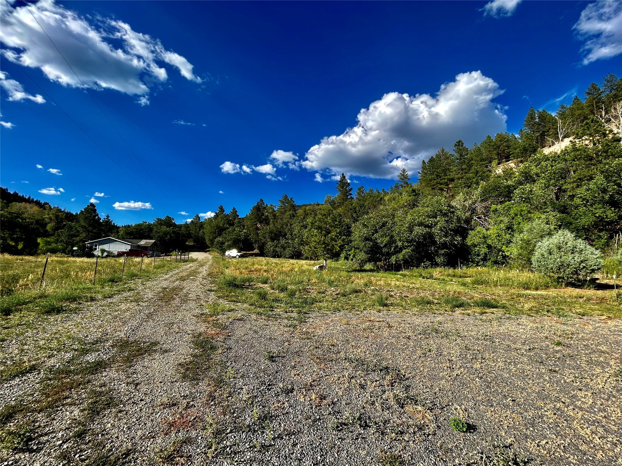 1121 NM HWY 63, Pecos, New Mexico 87552, ,Land,For Sale,1121 NM HWY 63,202340843