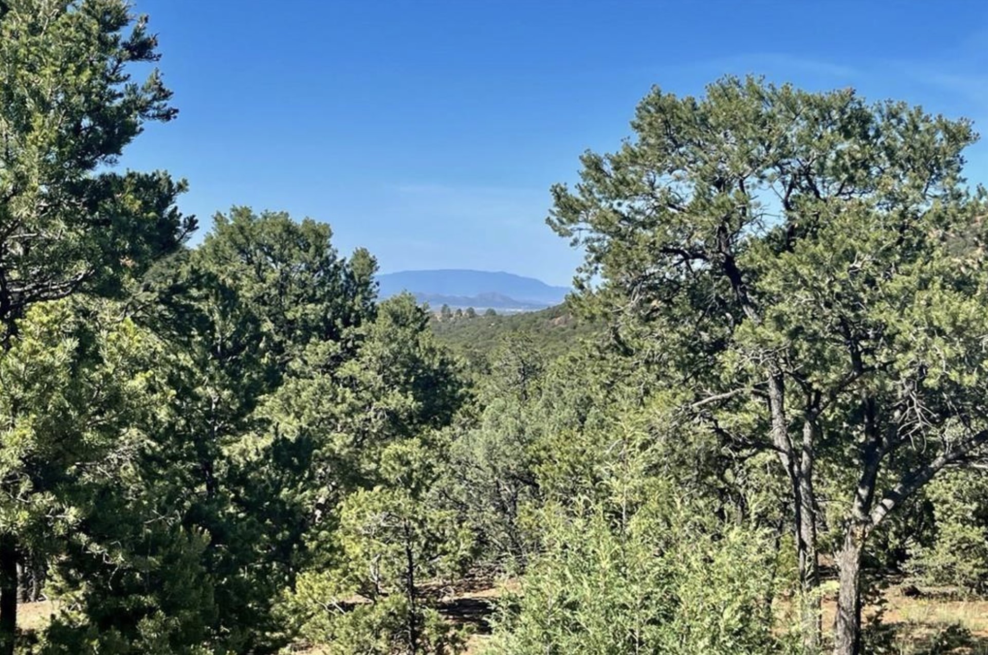 1801 Kachina Heights Lot 1, Santa Fe, New Mexico 87501, 3 Bedrooms Bedrooms, ,3 BathroomsBathrooms,Residential,For Sale,1801 Kachina Heights Lot 1,202340922