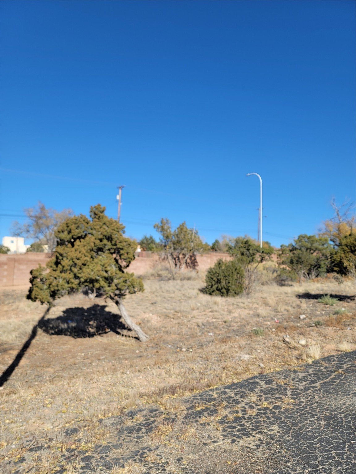 3924 Rodeo Road, Santa Fe, New Mexico 87507, ,Commercial Sale,For Sale,3924 Rodeo Road,202341733