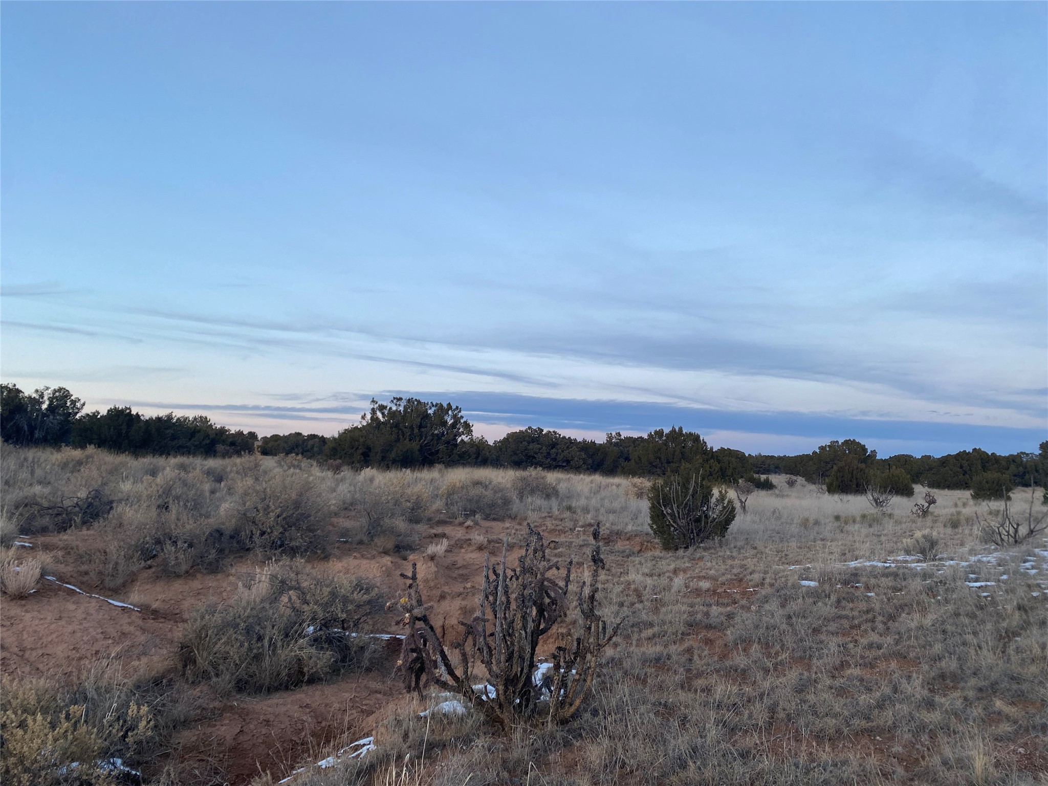 103 Crazy Rabbit Road, Santa Fe, New Mexico 87508, ,Land,For Sale,103 Crazy Rabbit Road,202341660