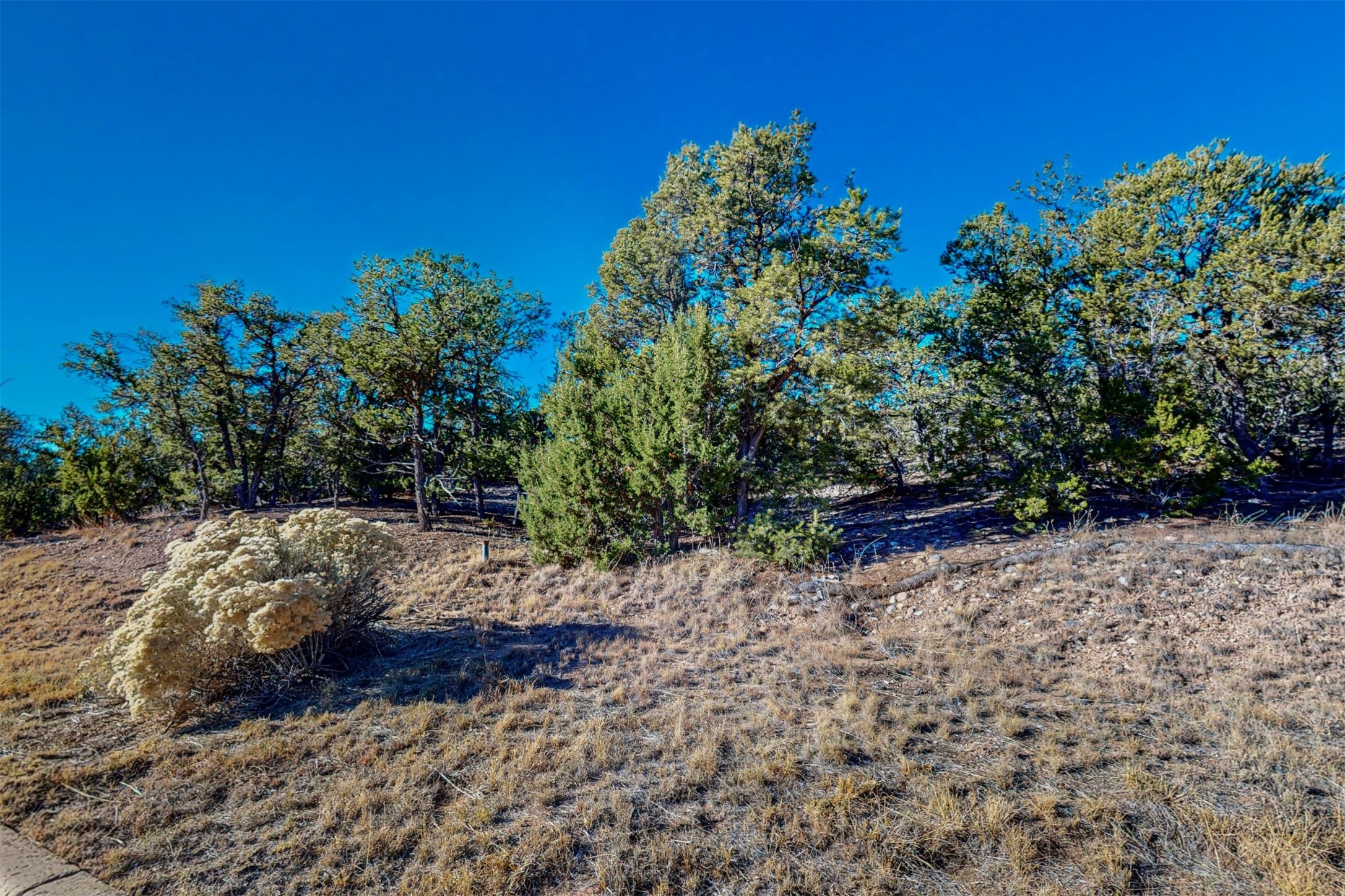 312 Pawprint Trail, Santa Fe, New Mexico 87506, ,Land,For Sale,312 Pawprint Trail,202342011