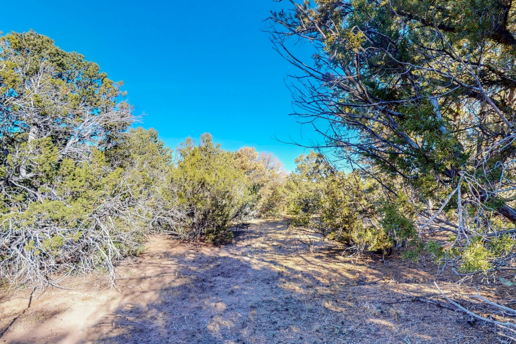 312 Pawprint Trail, Santa Fe, New Mexico 87506, ,Land,For Sale,312 Pawprint Trail,202342011